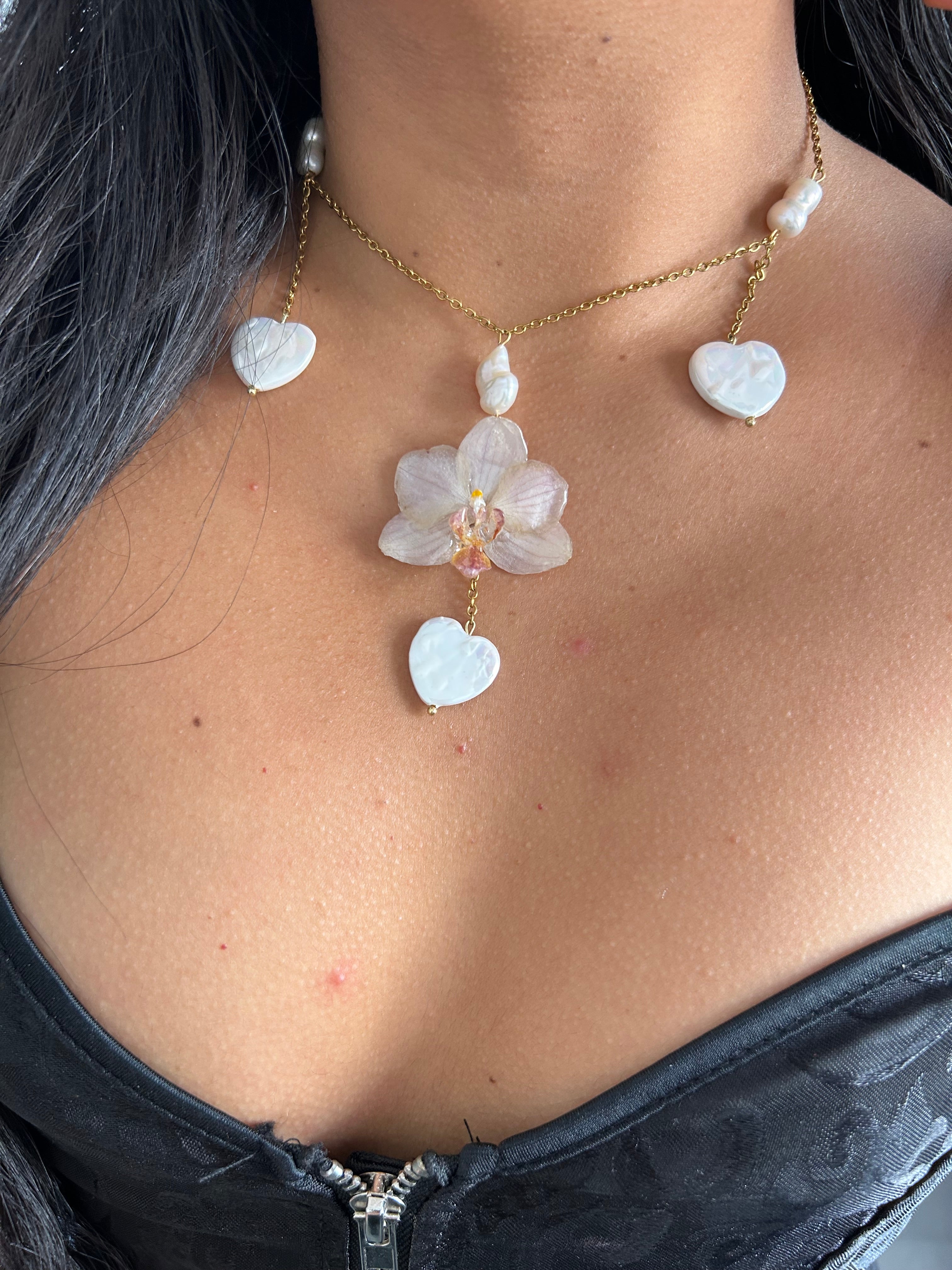 Orchid médium with shell heart