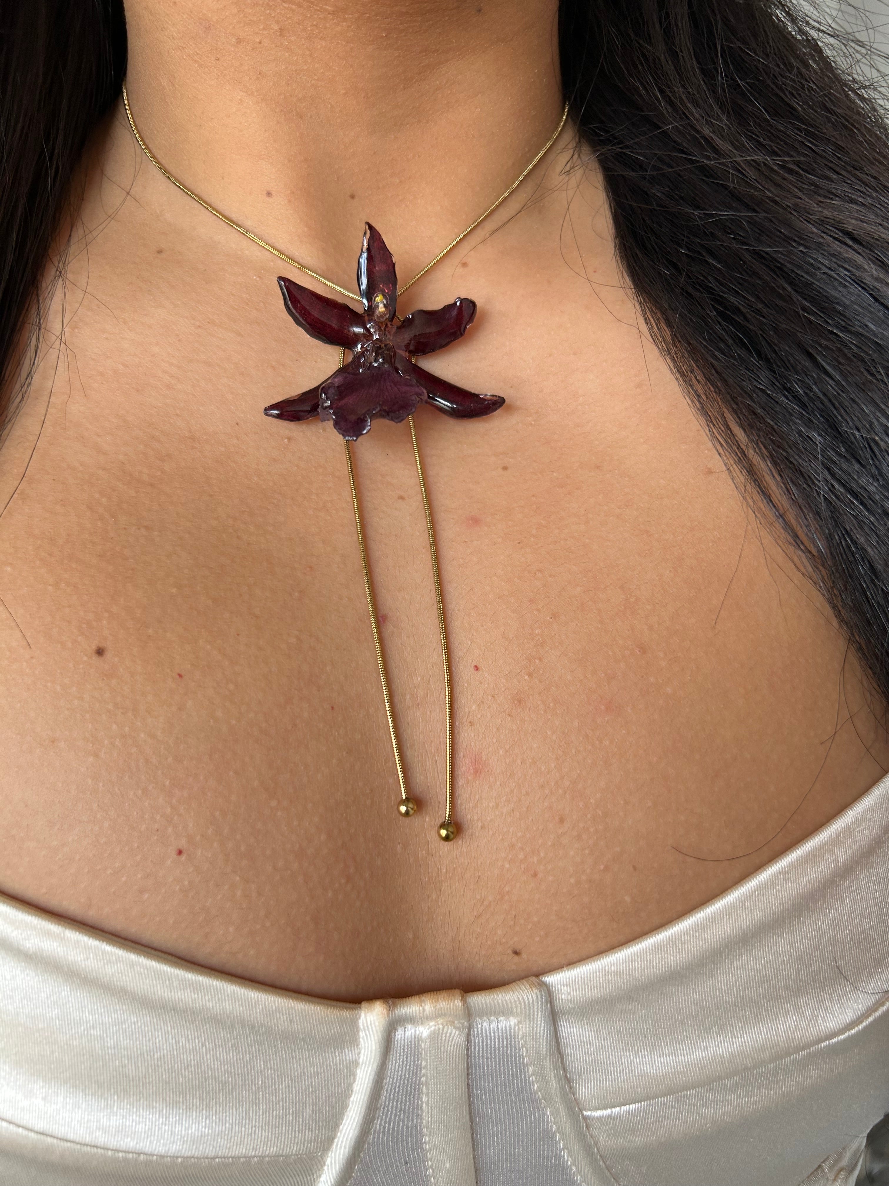 exotic burgundy orchid