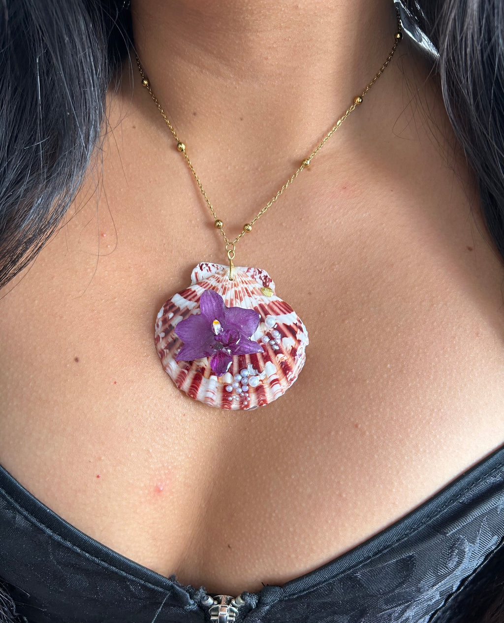 Orchid mini and shell