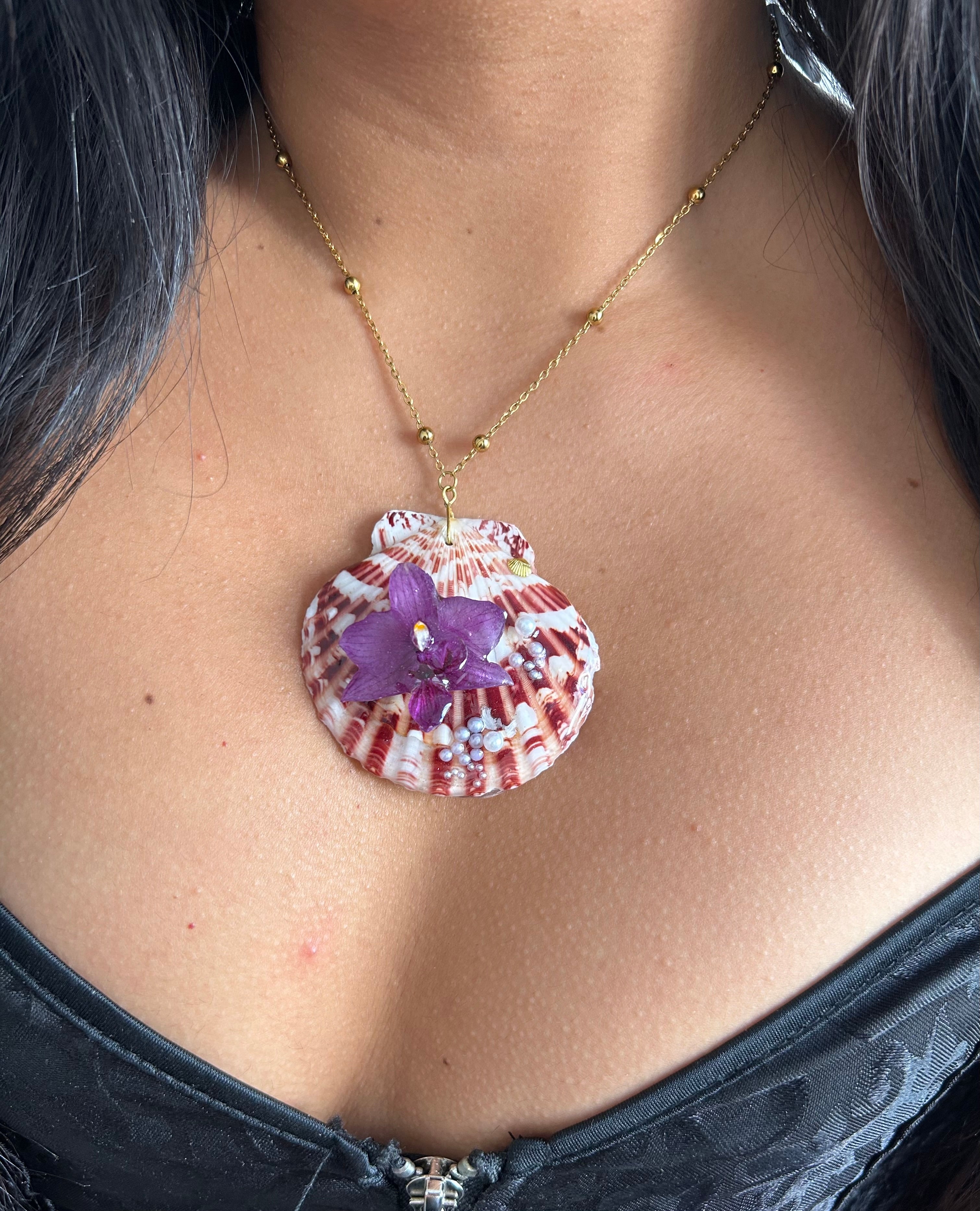 Orchid mini and shell