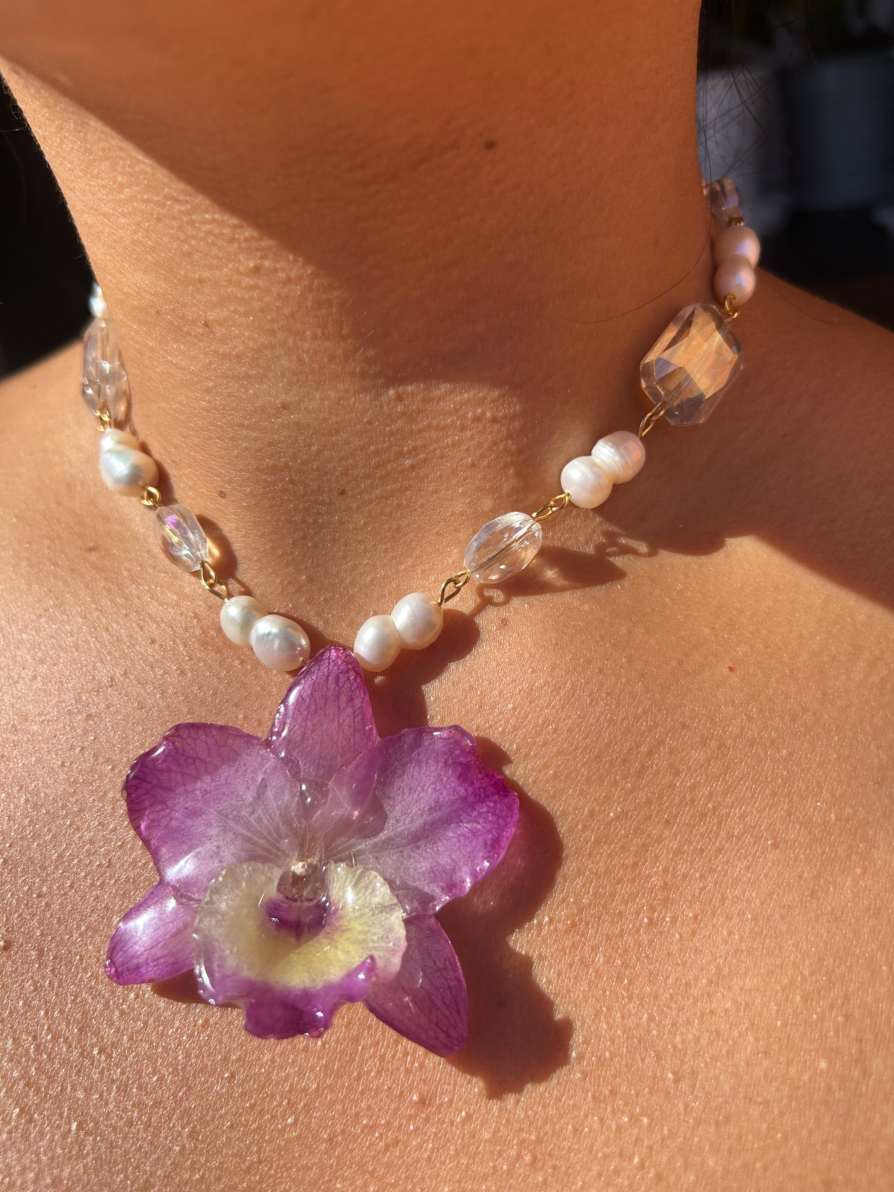 Orchid dendrobium nobile with pearls