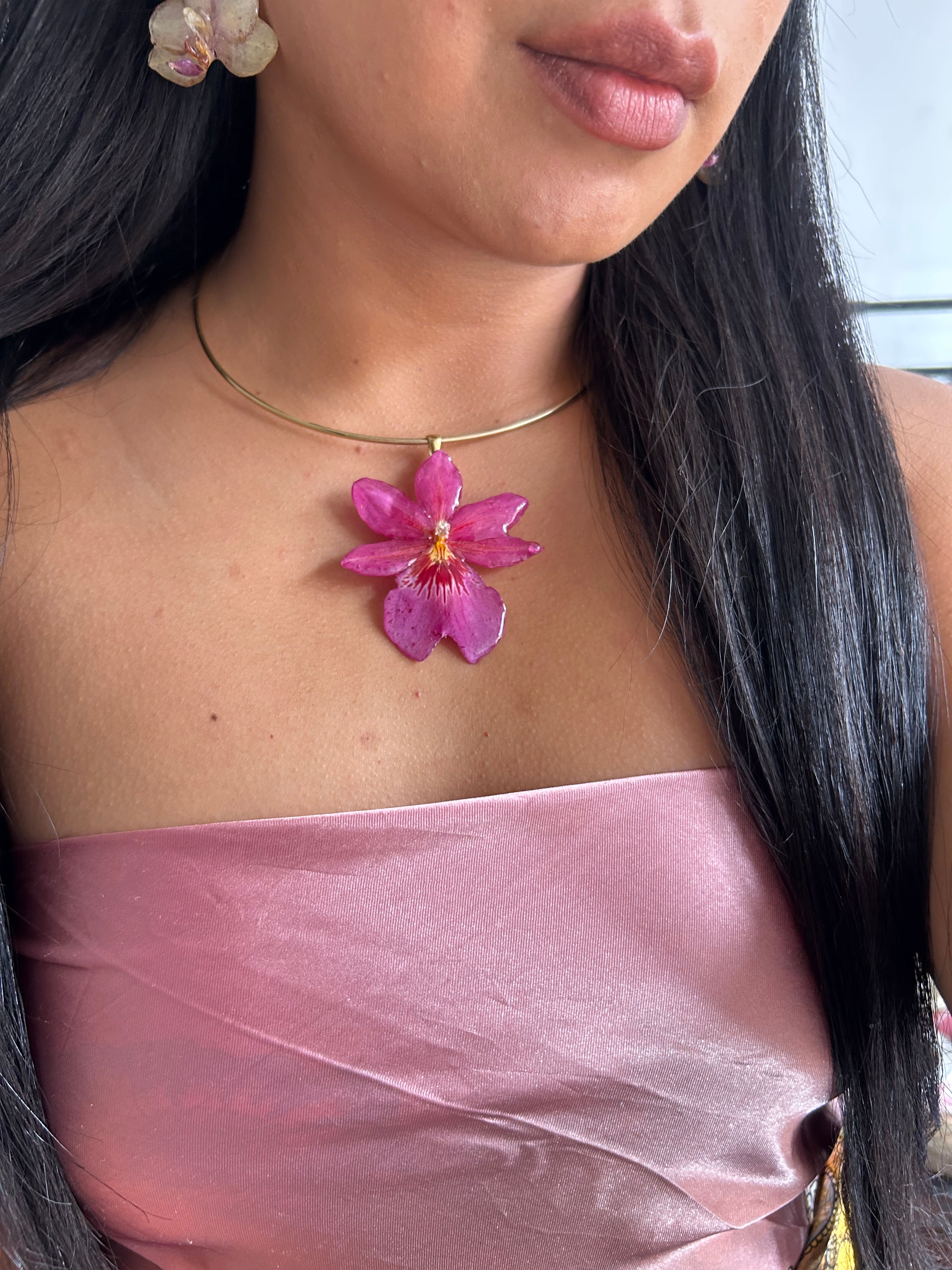 Orquídea Nelly isler rosa