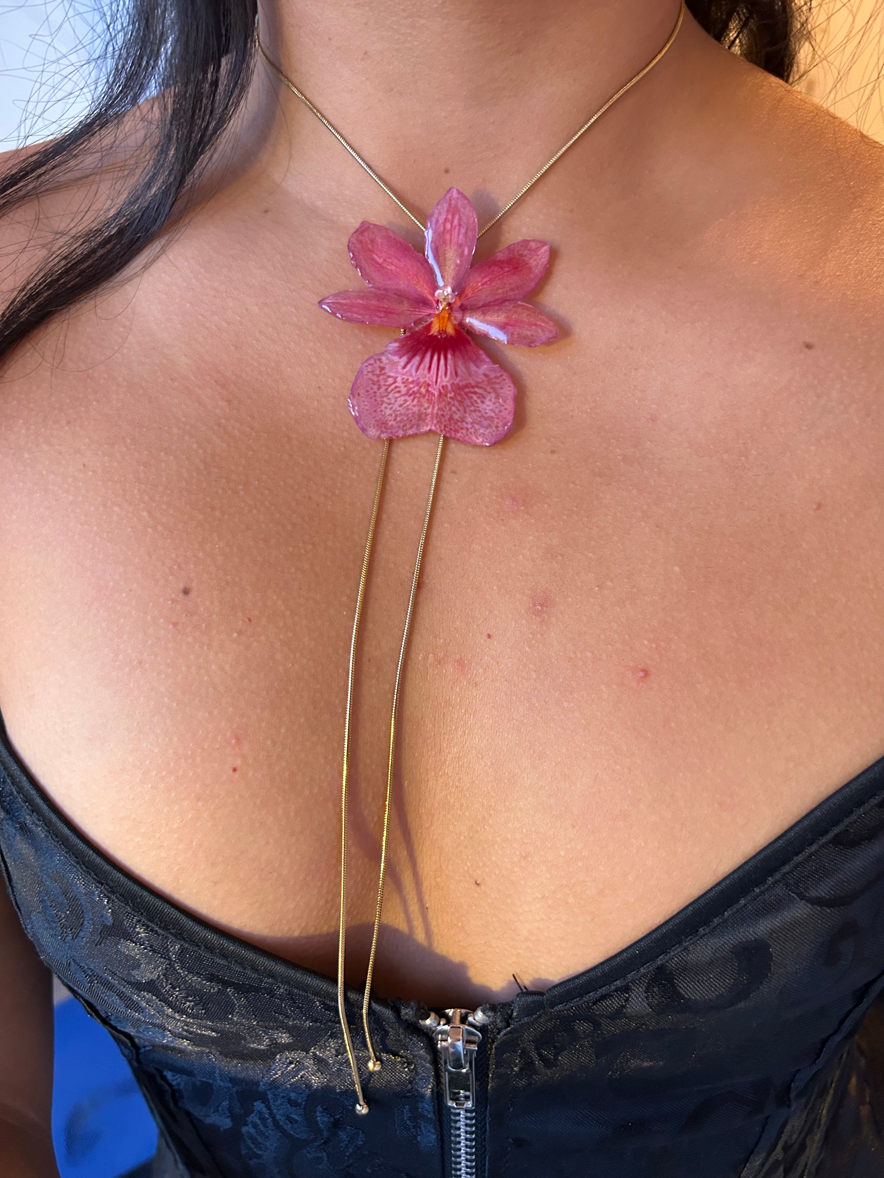 Orchid Nelly isler Orange