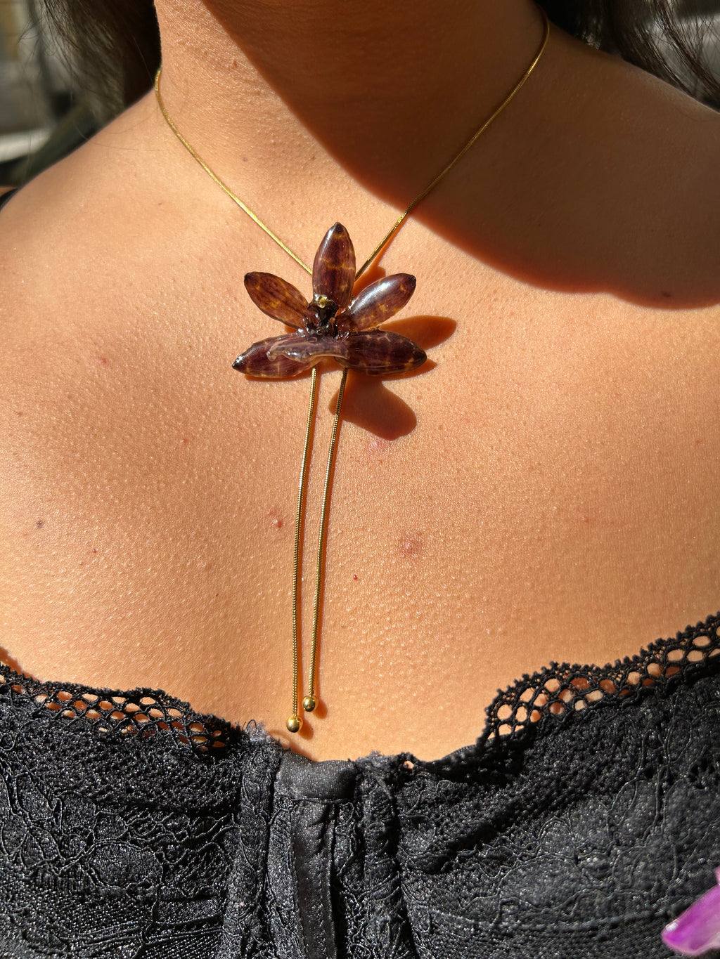 Orchid zygopetalum