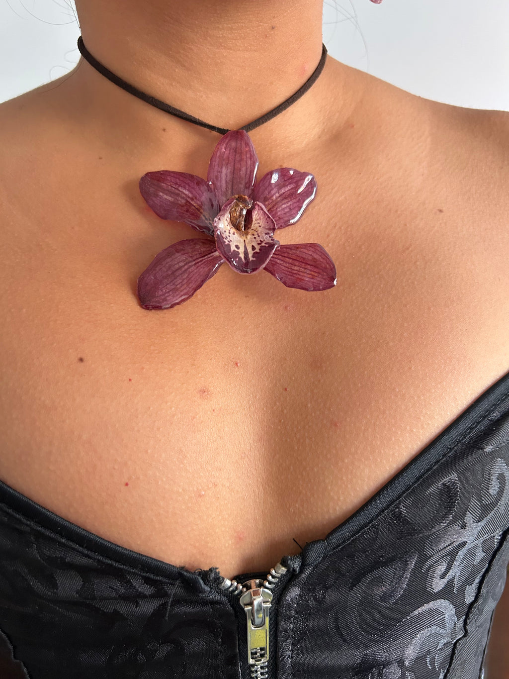 Grand orchid cymbidium lazo