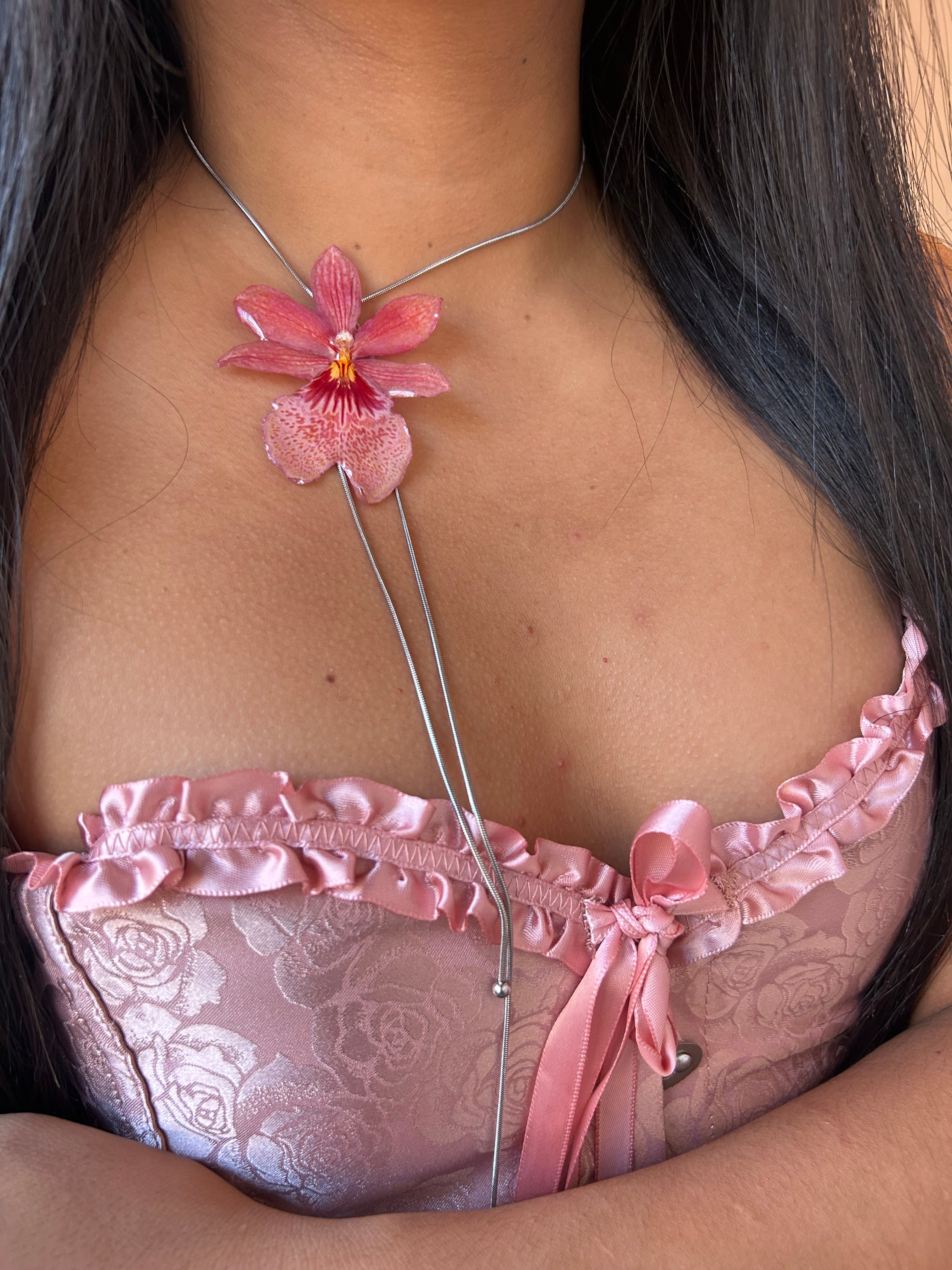 Orchid Nelly isler orange