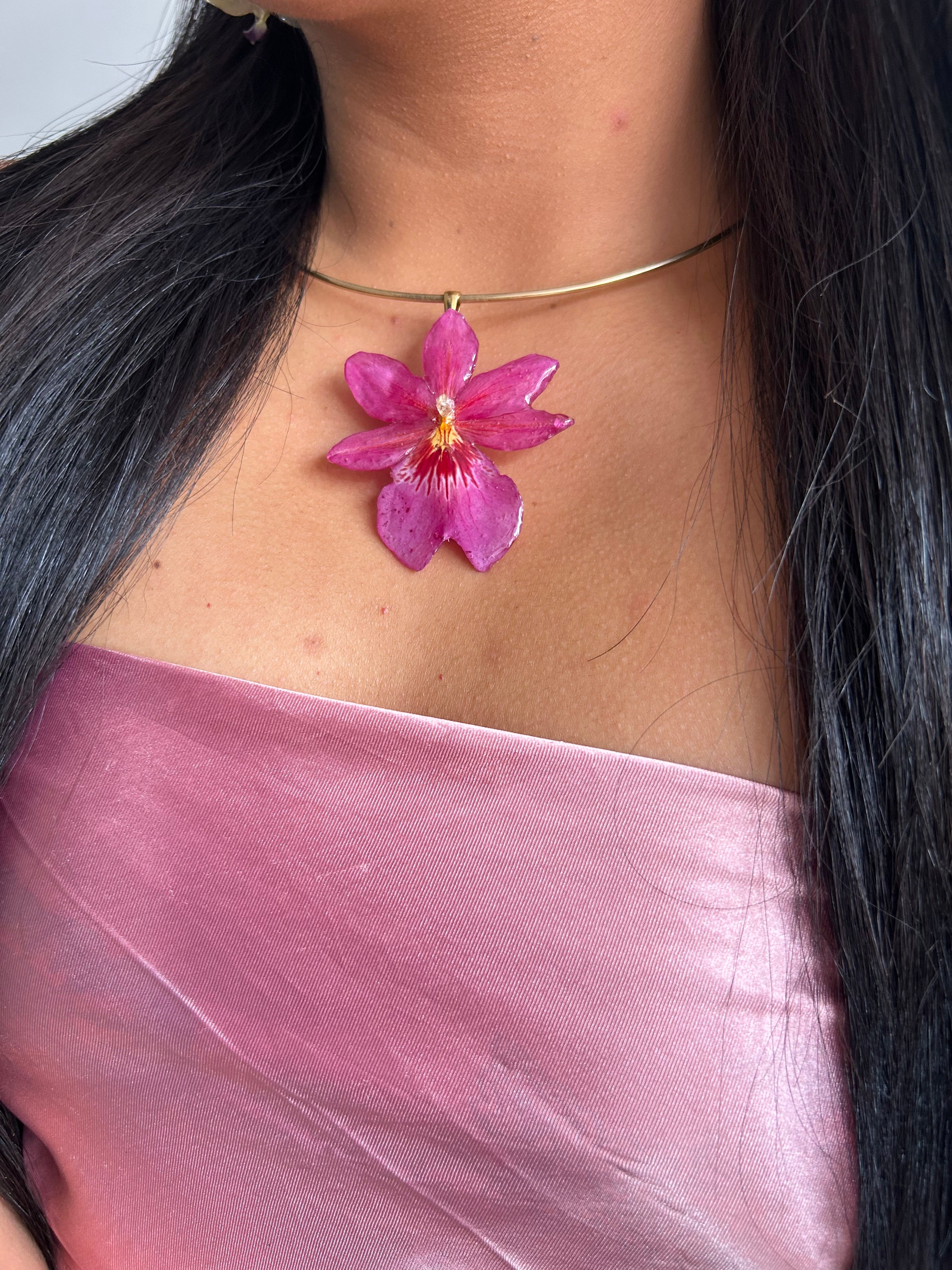 Orquídea Nelly isler rosa