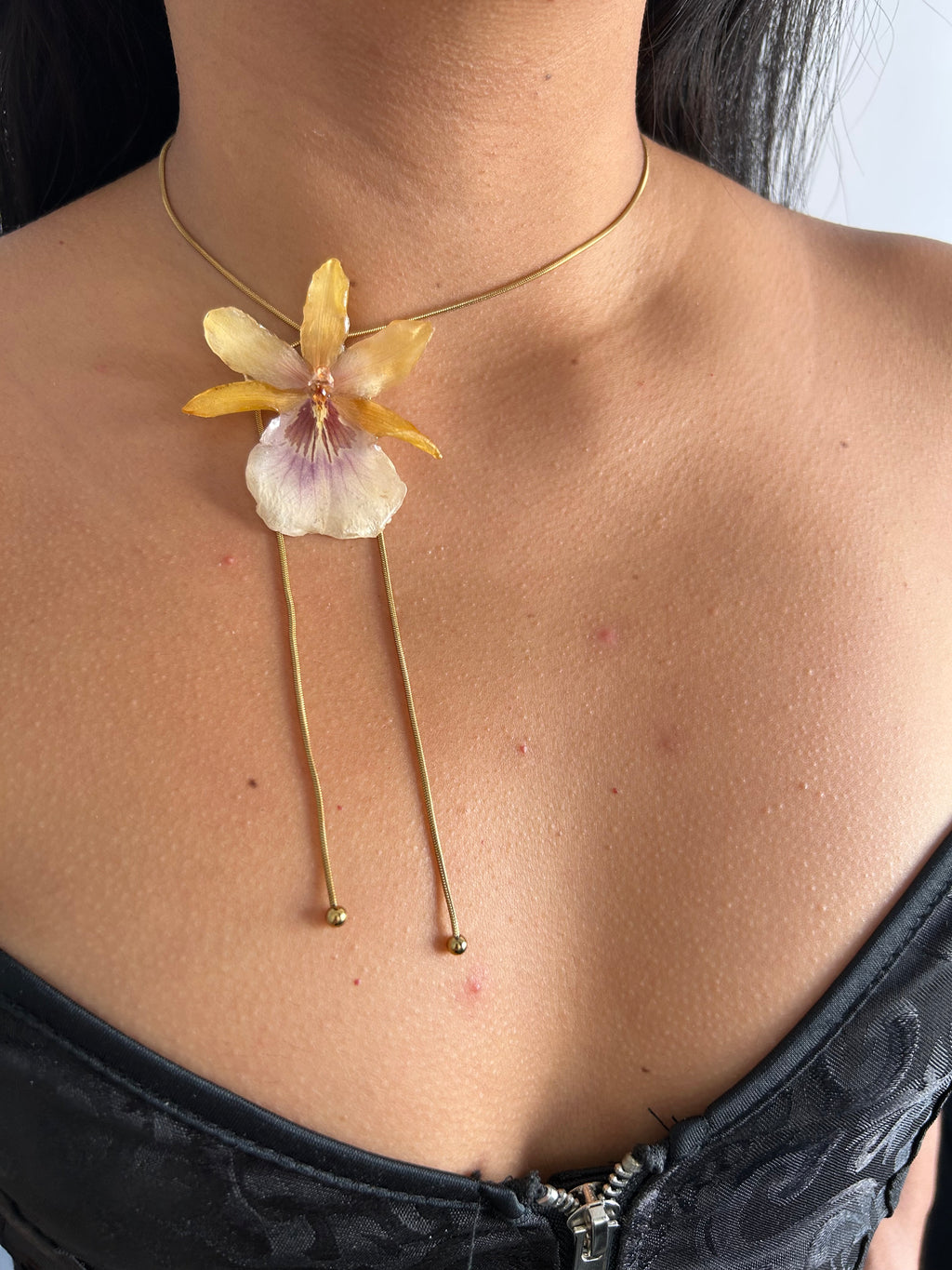 Exotic orchid yellow