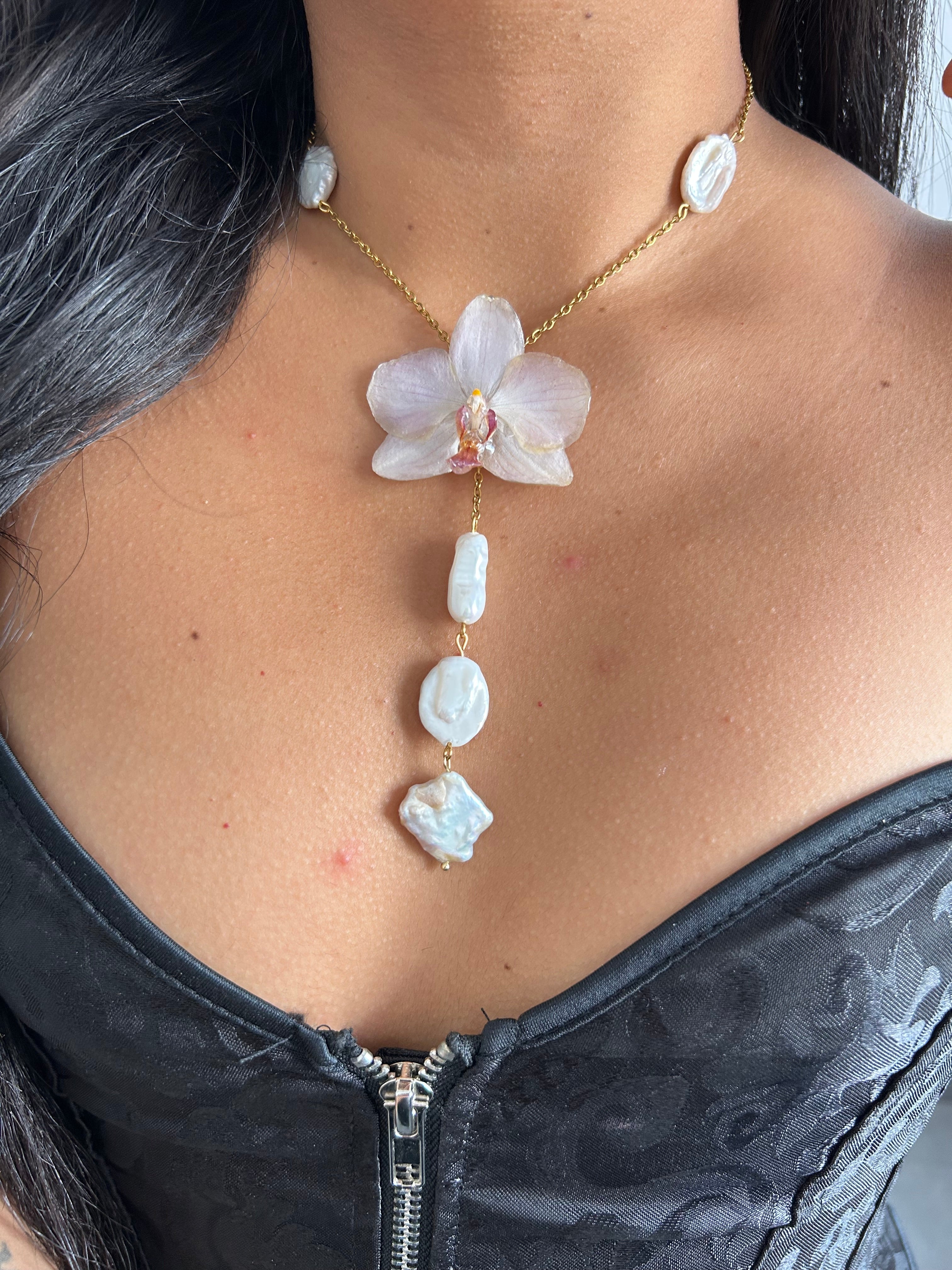 Orchid médium with barrocas