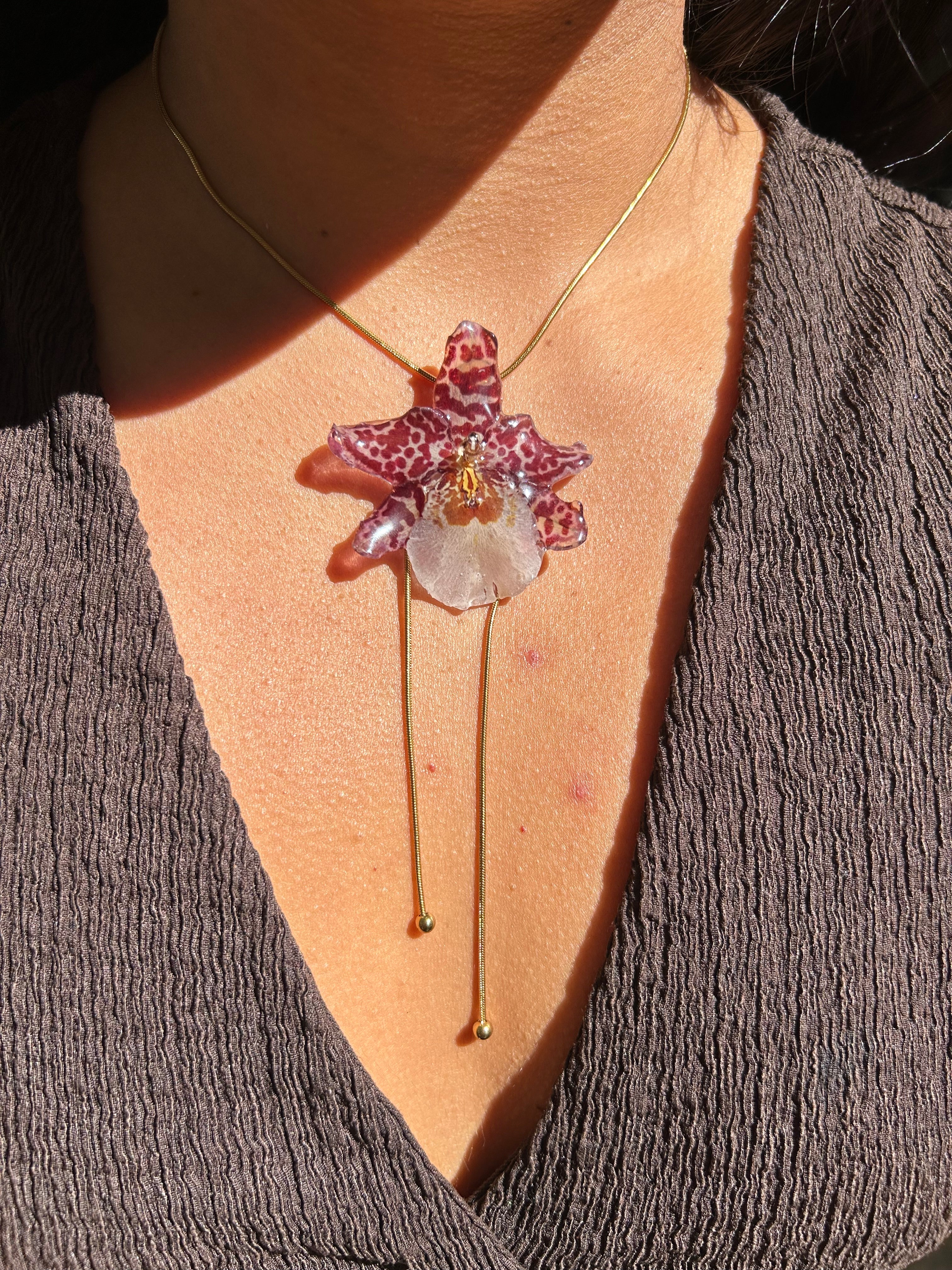 exotic Orchid