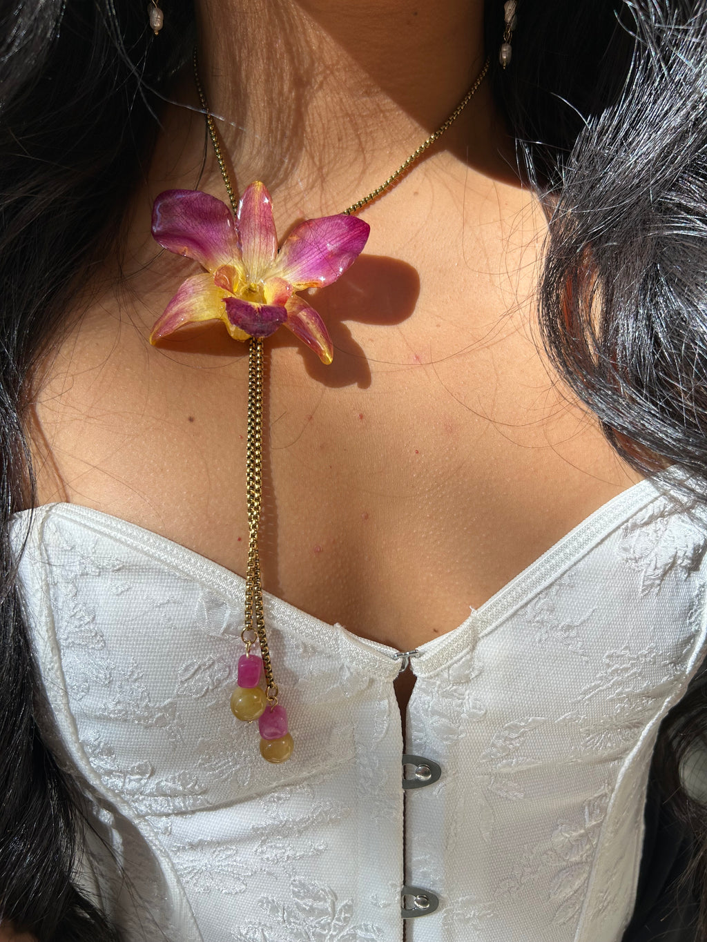 Orchid dendrobium bello atardecer