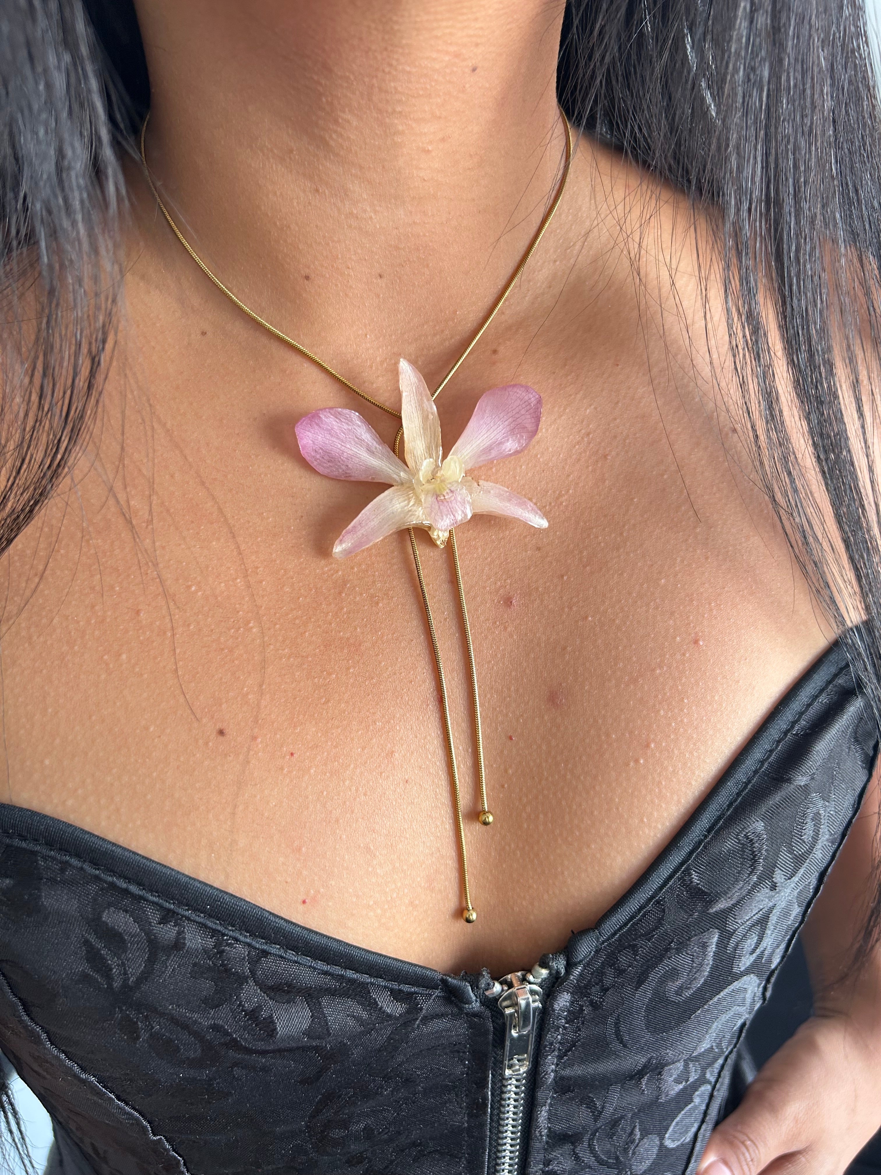 Orchid dendrobium pink