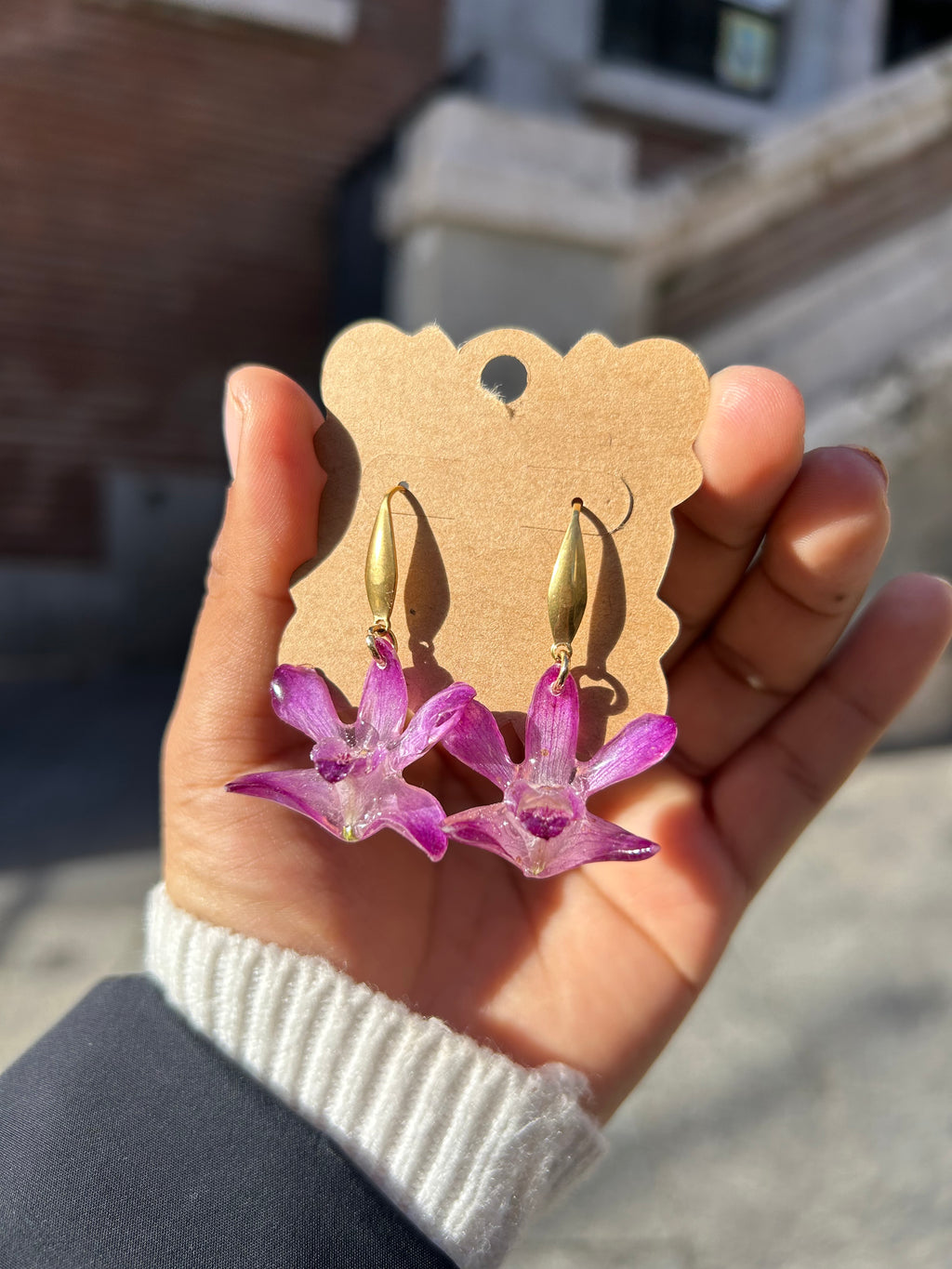 Orchid dendrobium mini cherry