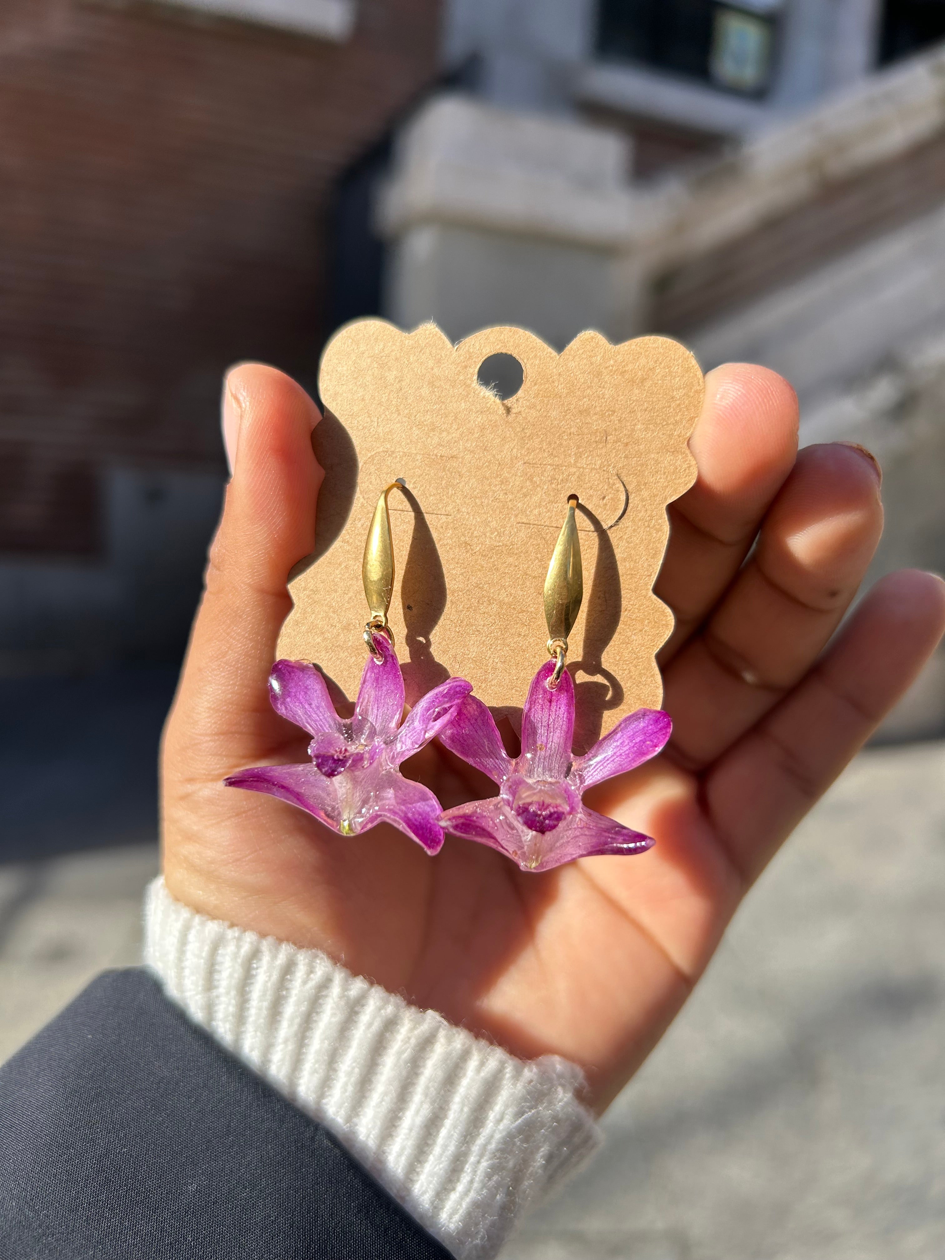 Orchid dendrobium mini cherry