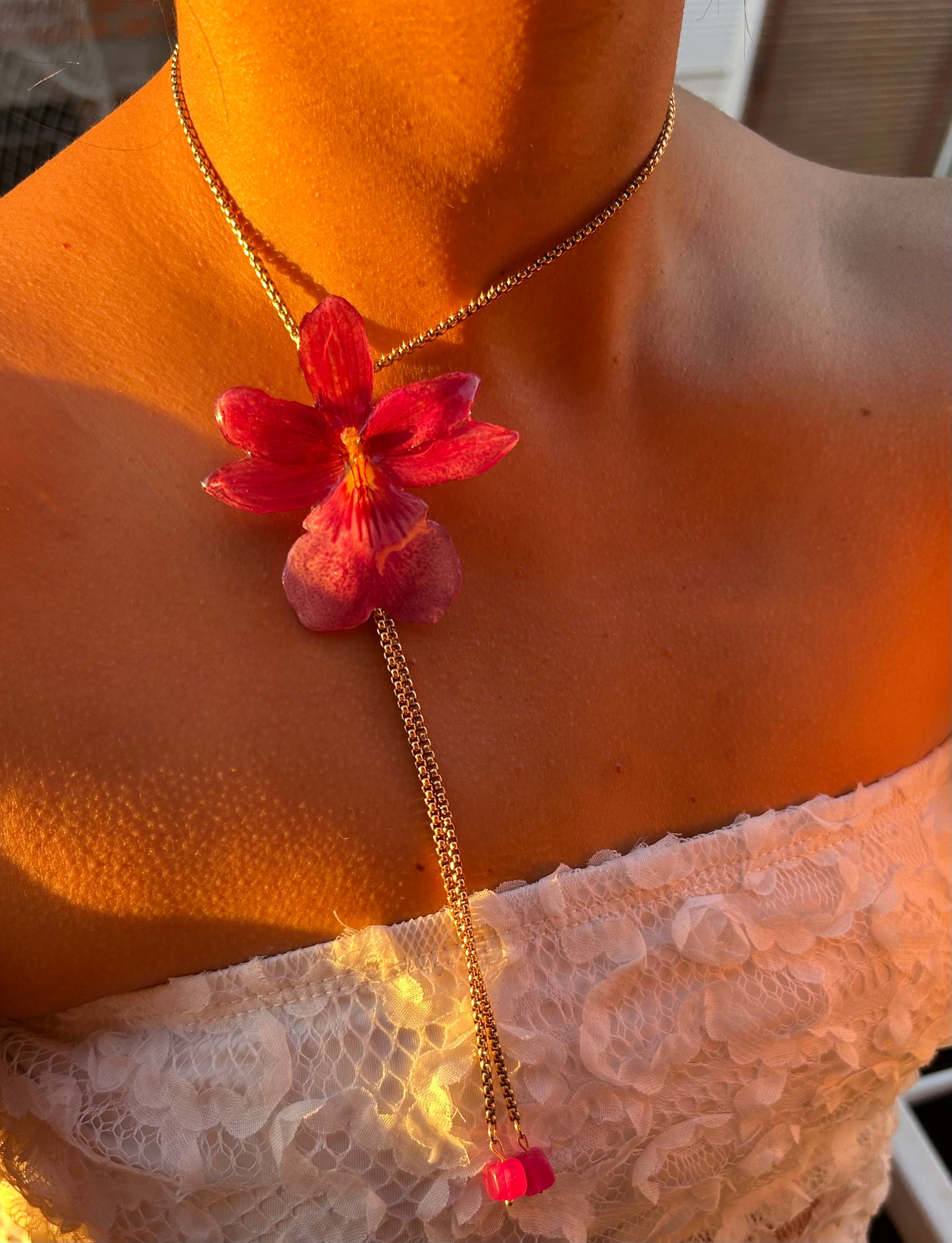Orchid Nelly isler fucsia