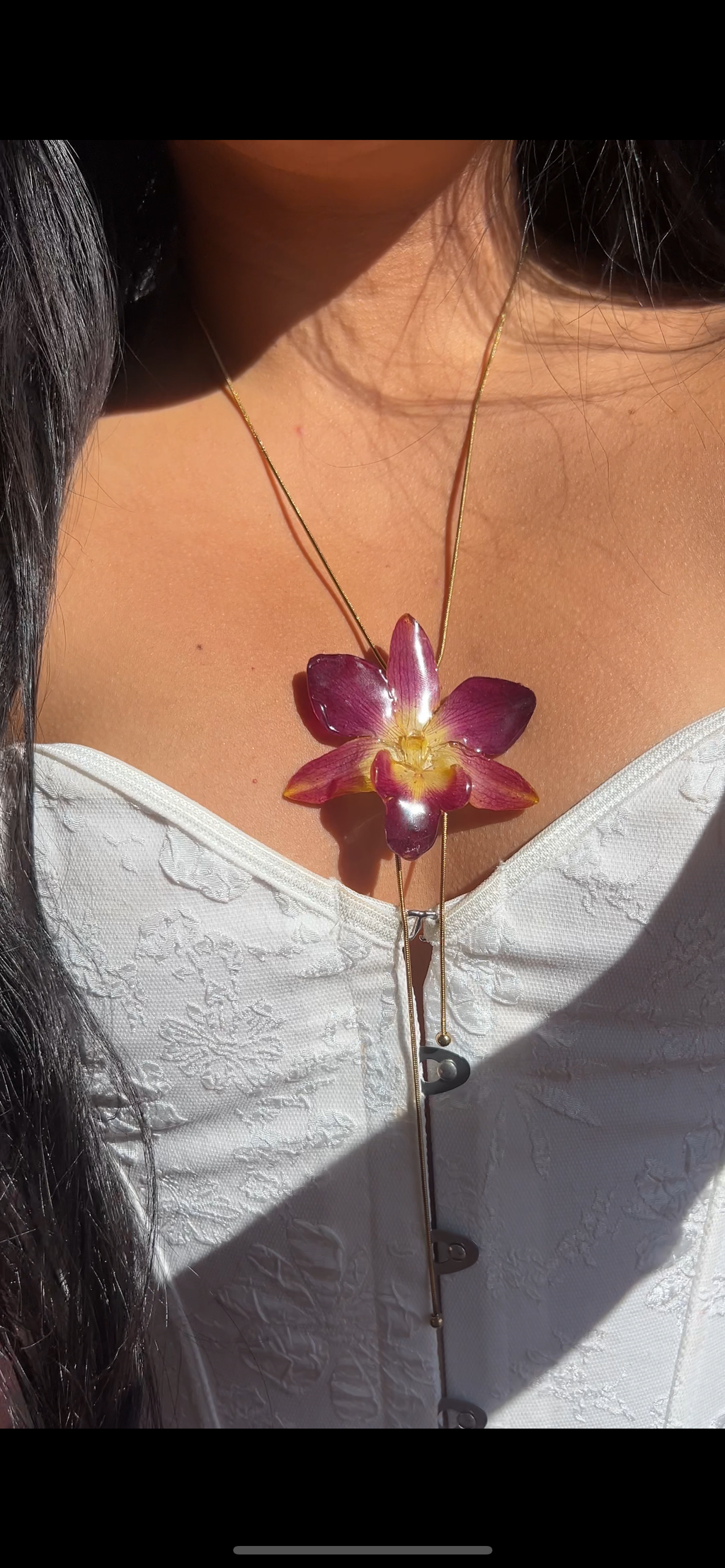 Orchid bello atardecer