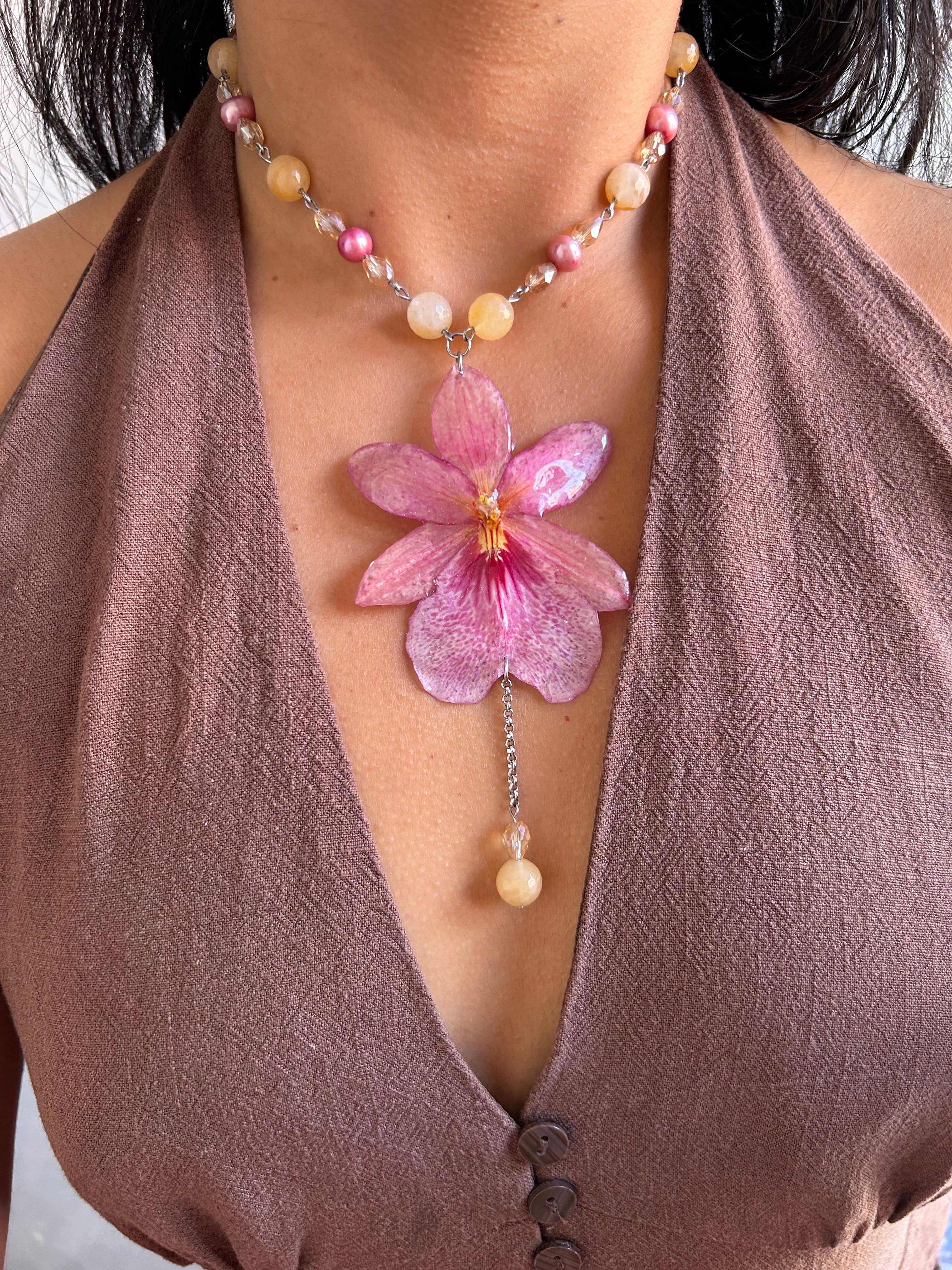 Orchid Nelly Pink