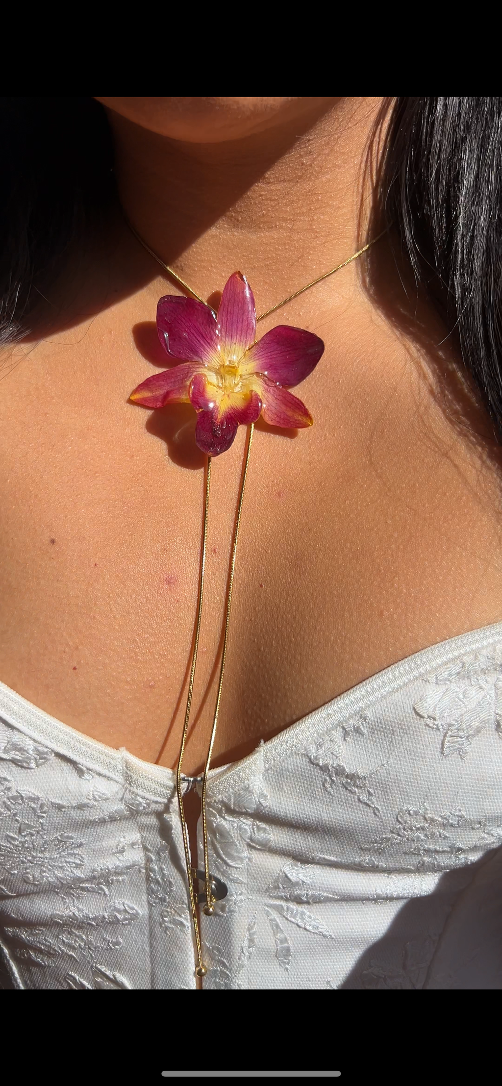 Orchid bello atardecer