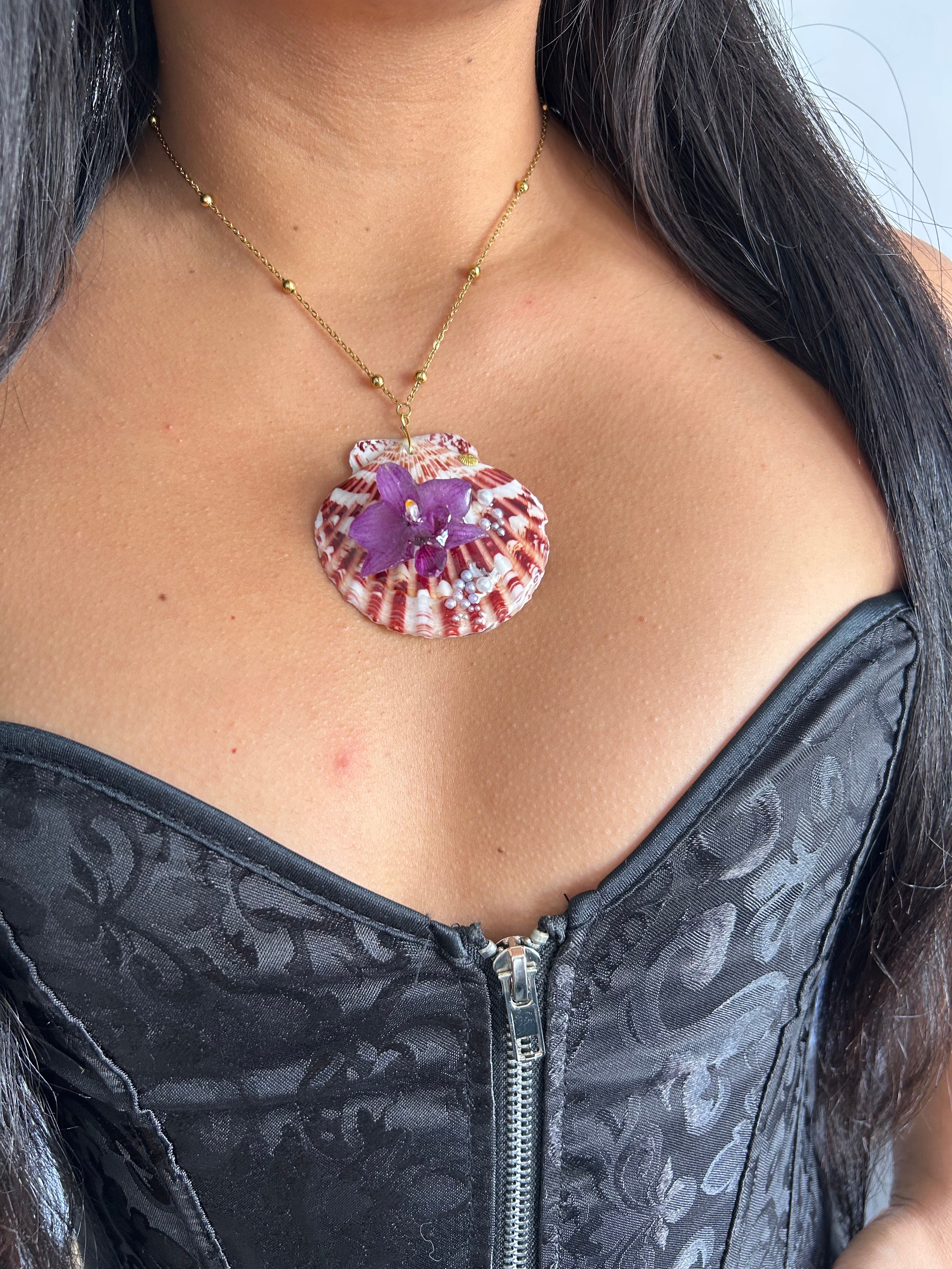 Orchid mini and shell