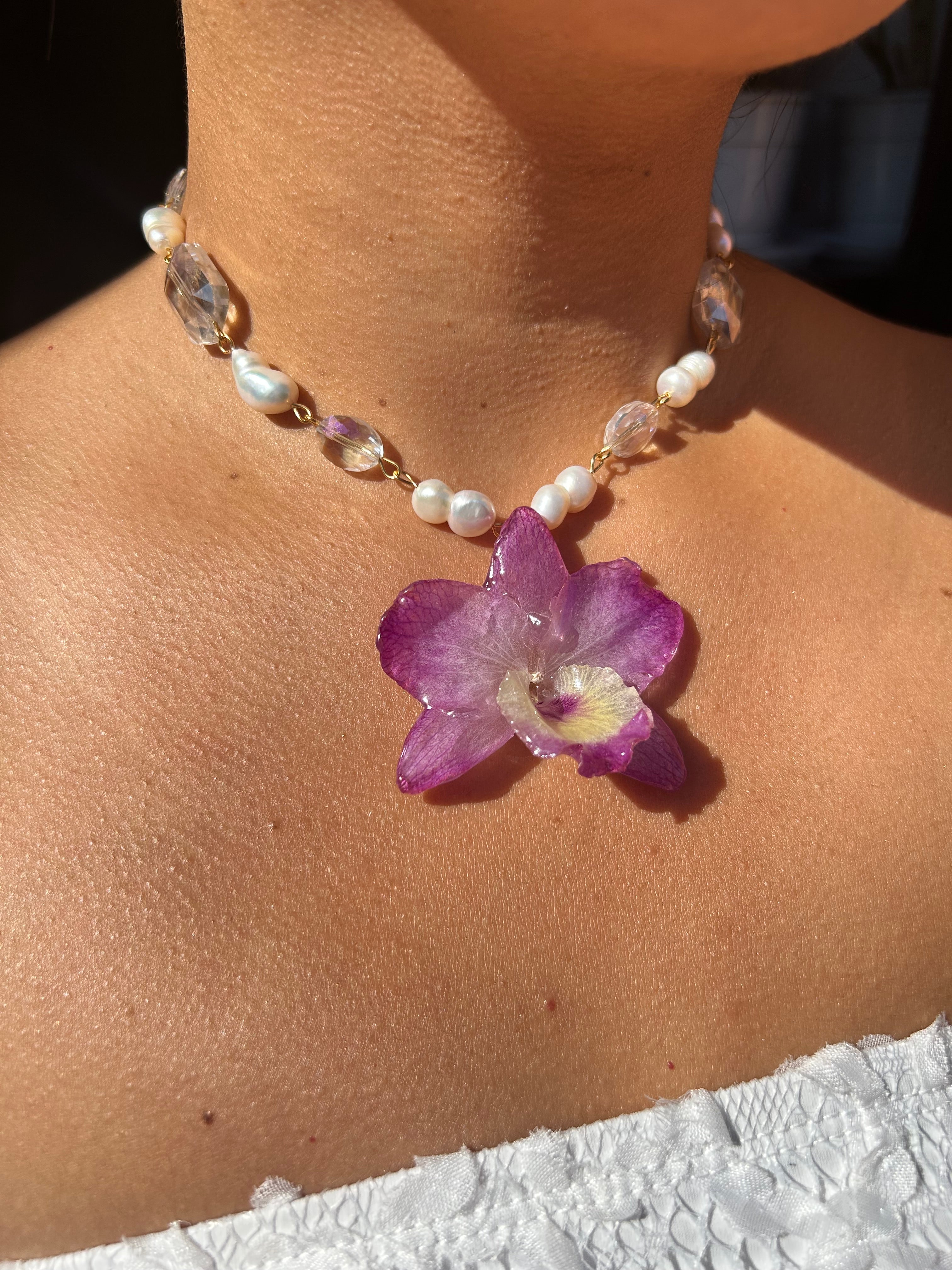 Orchid dendrobium nobile with pearls