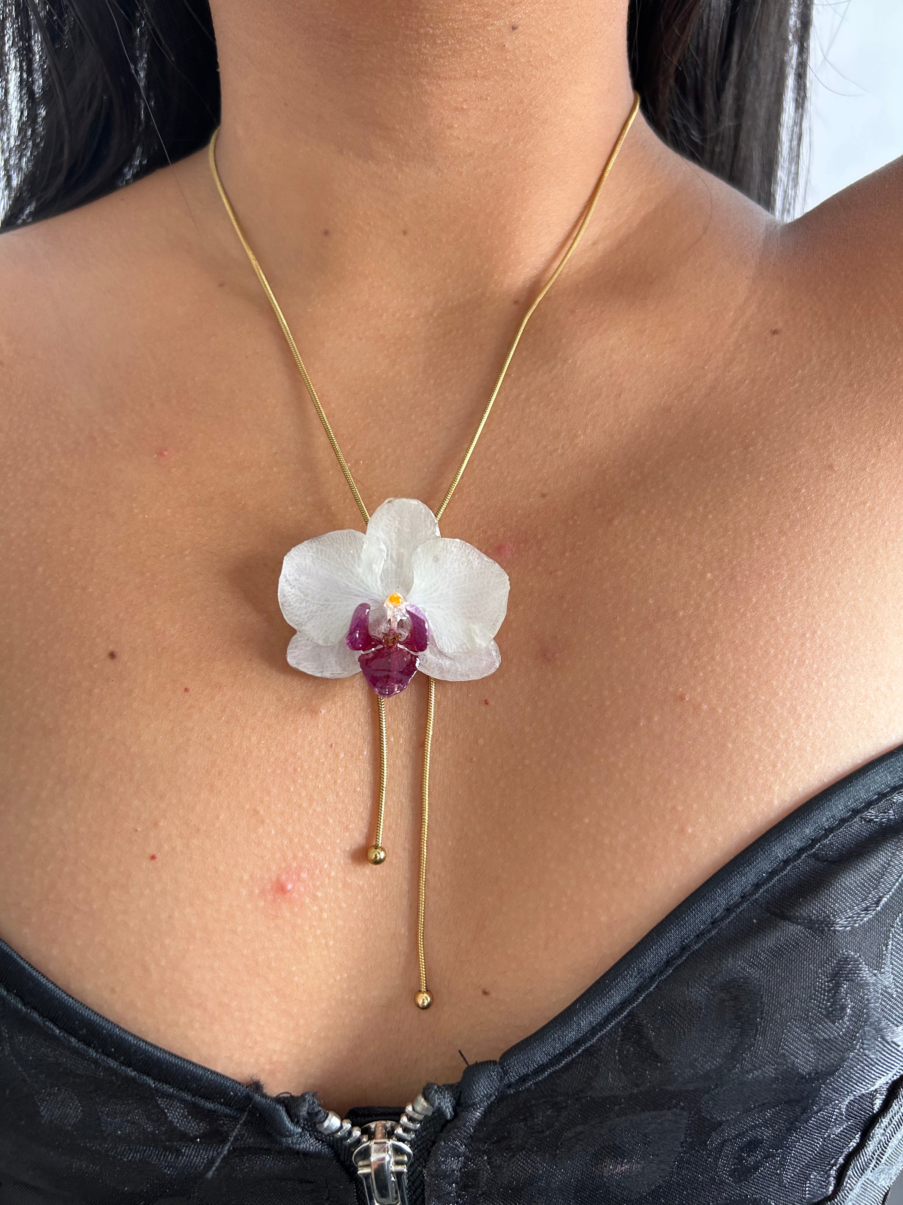 Orchid mini white