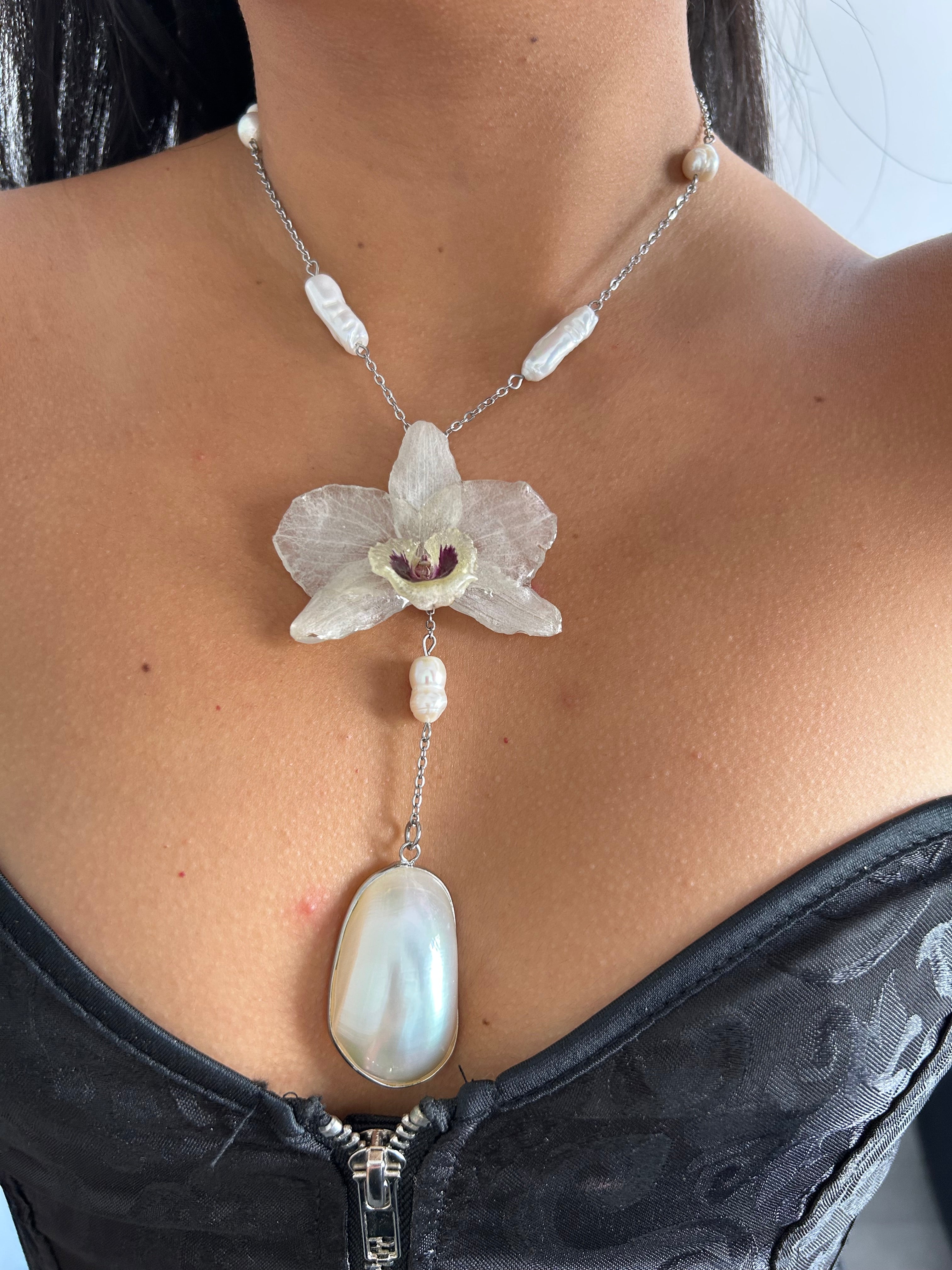 Orchid dendrobium white with shell