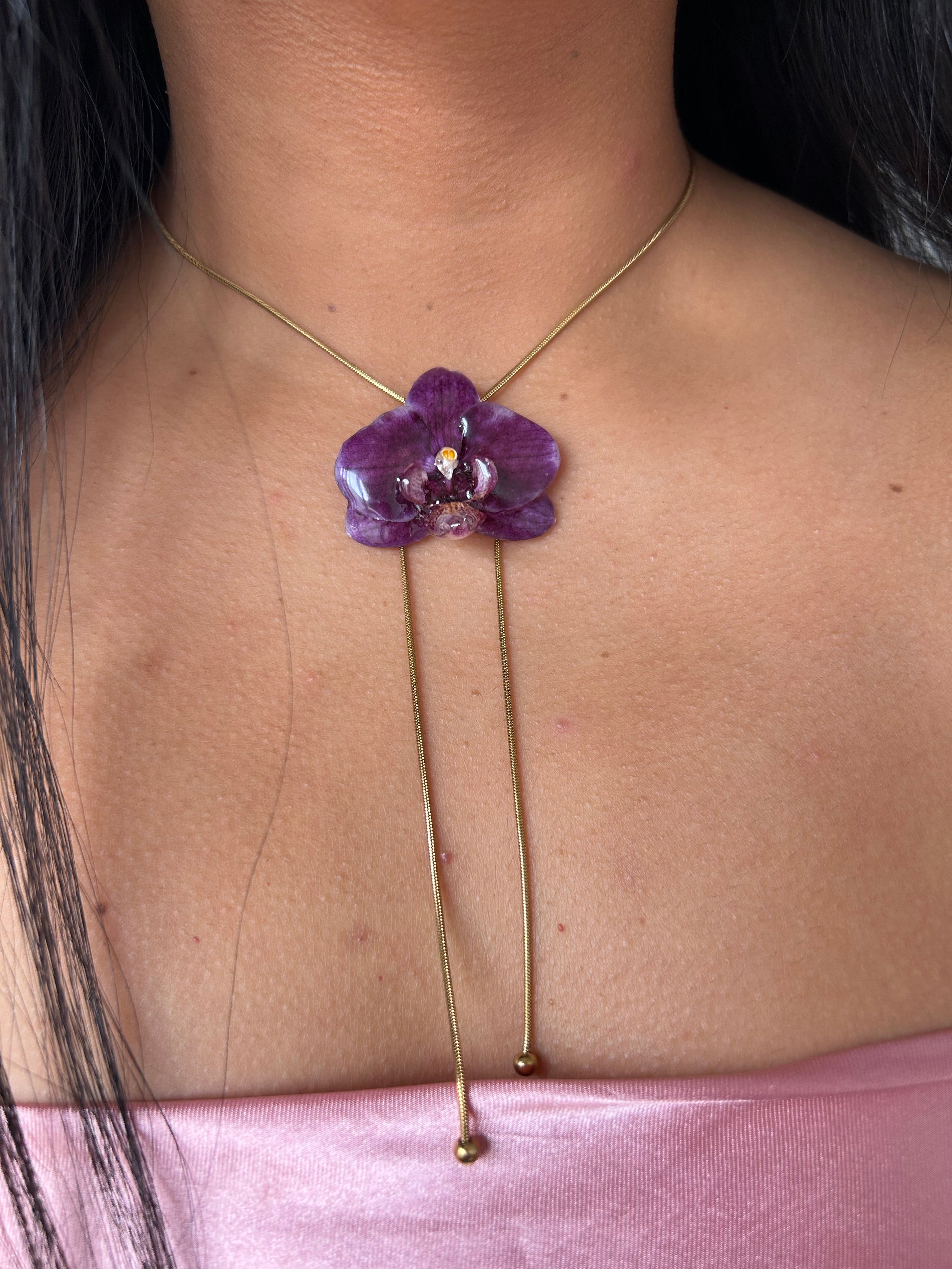 Orchid mini phalaenopsis purple