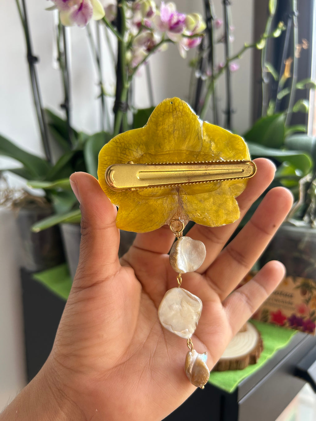 hair hook large phalaenopsis orchid