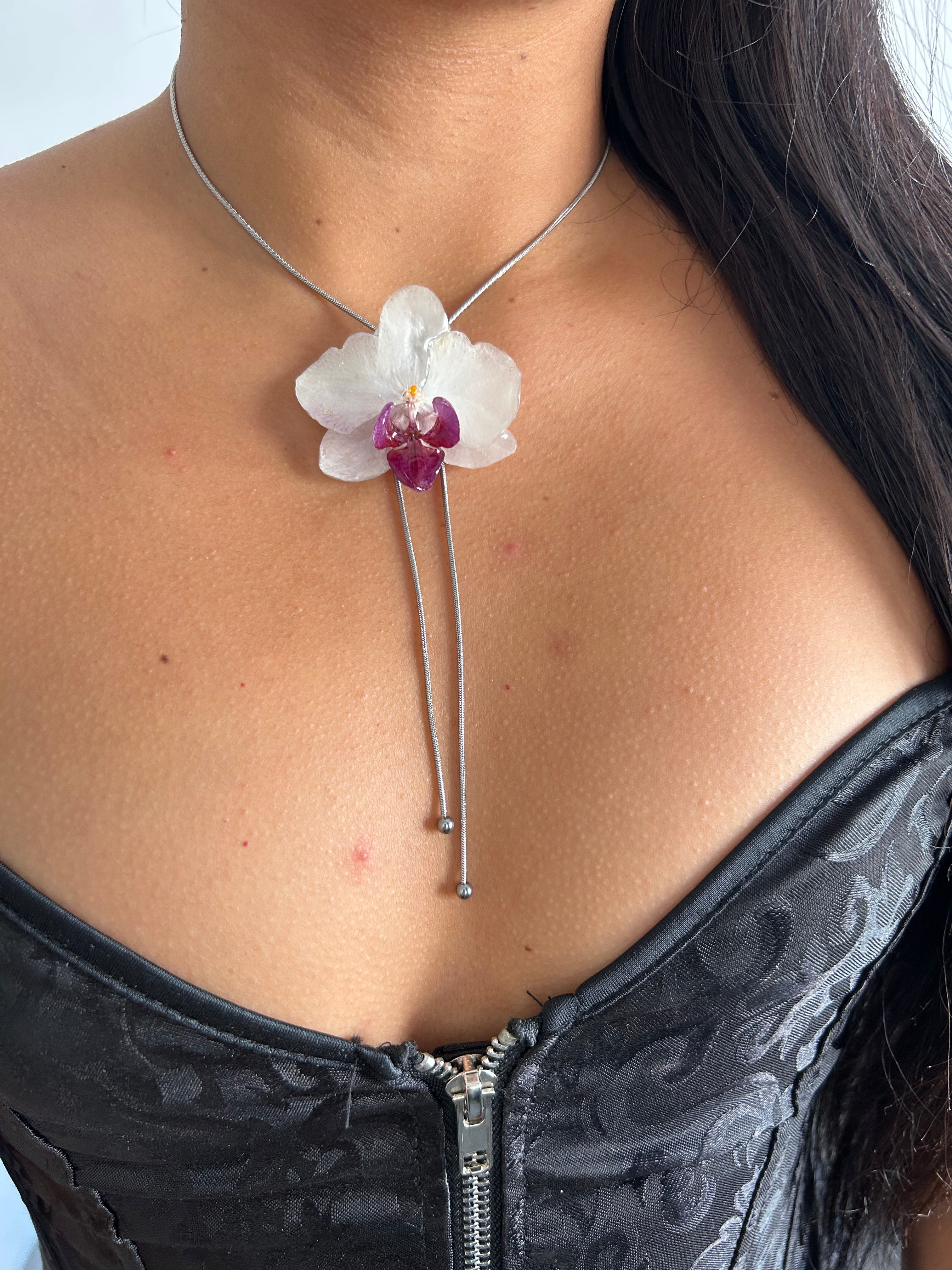 Orchid mini white