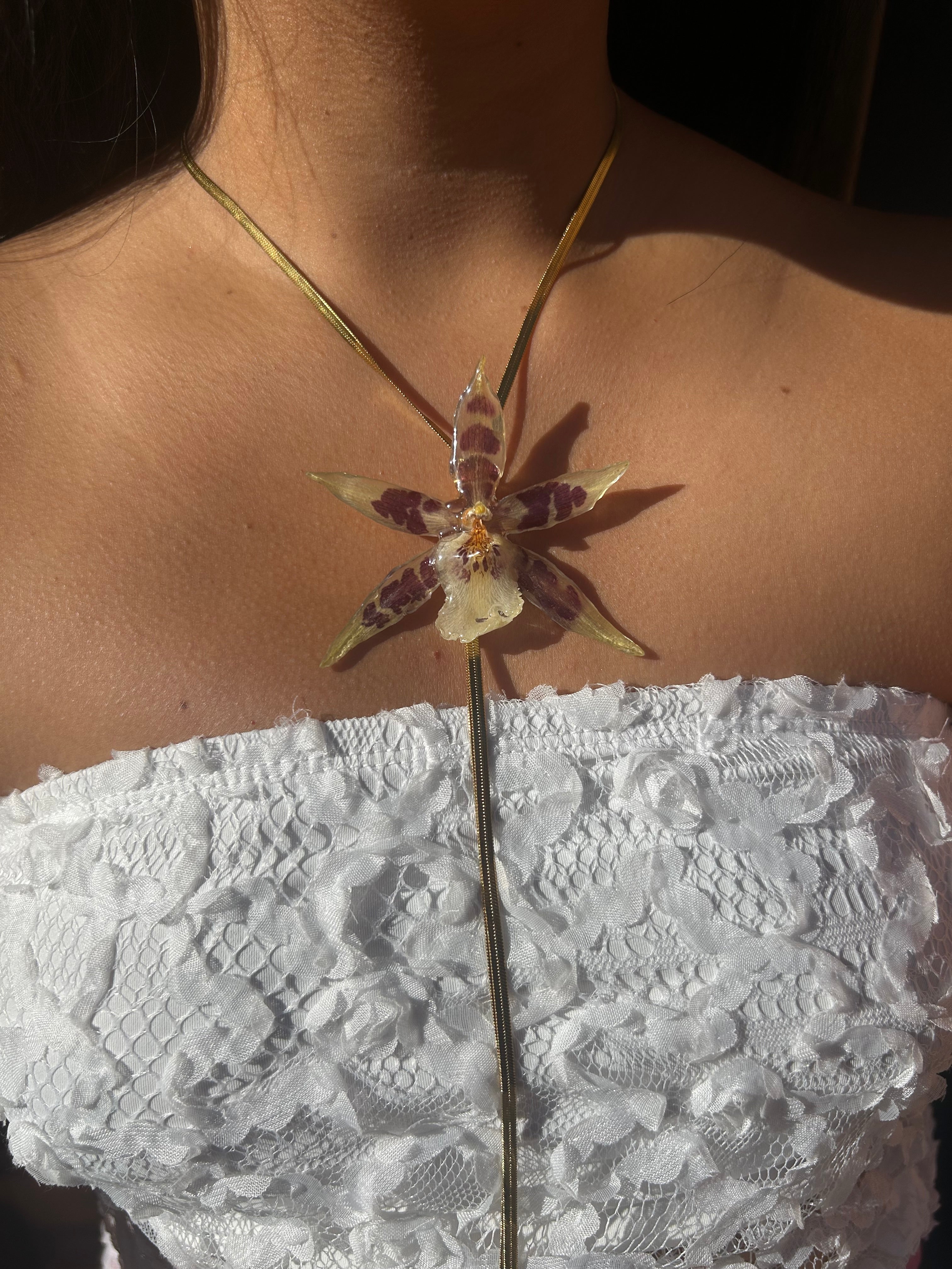 Orchid star