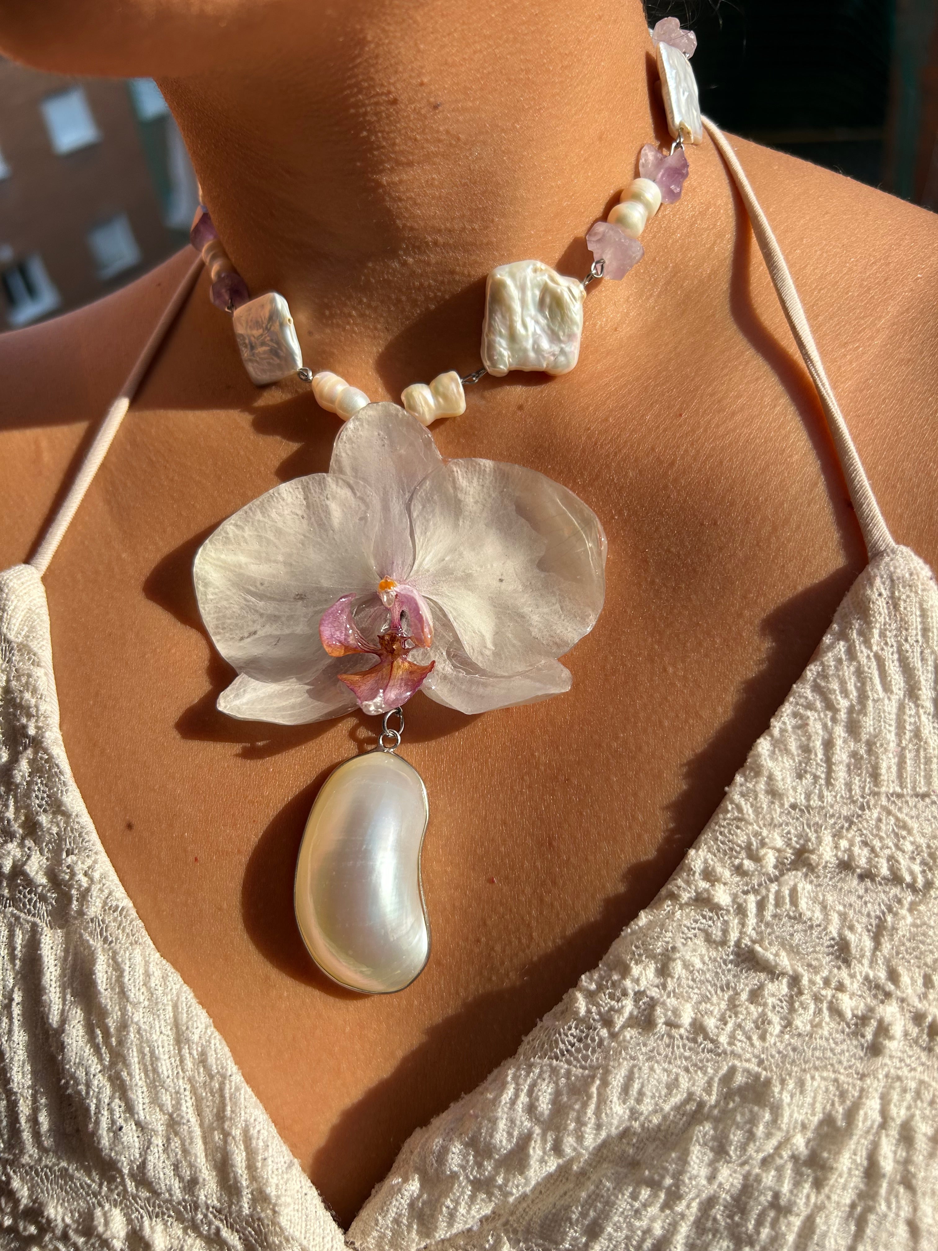 Orchid white and shell