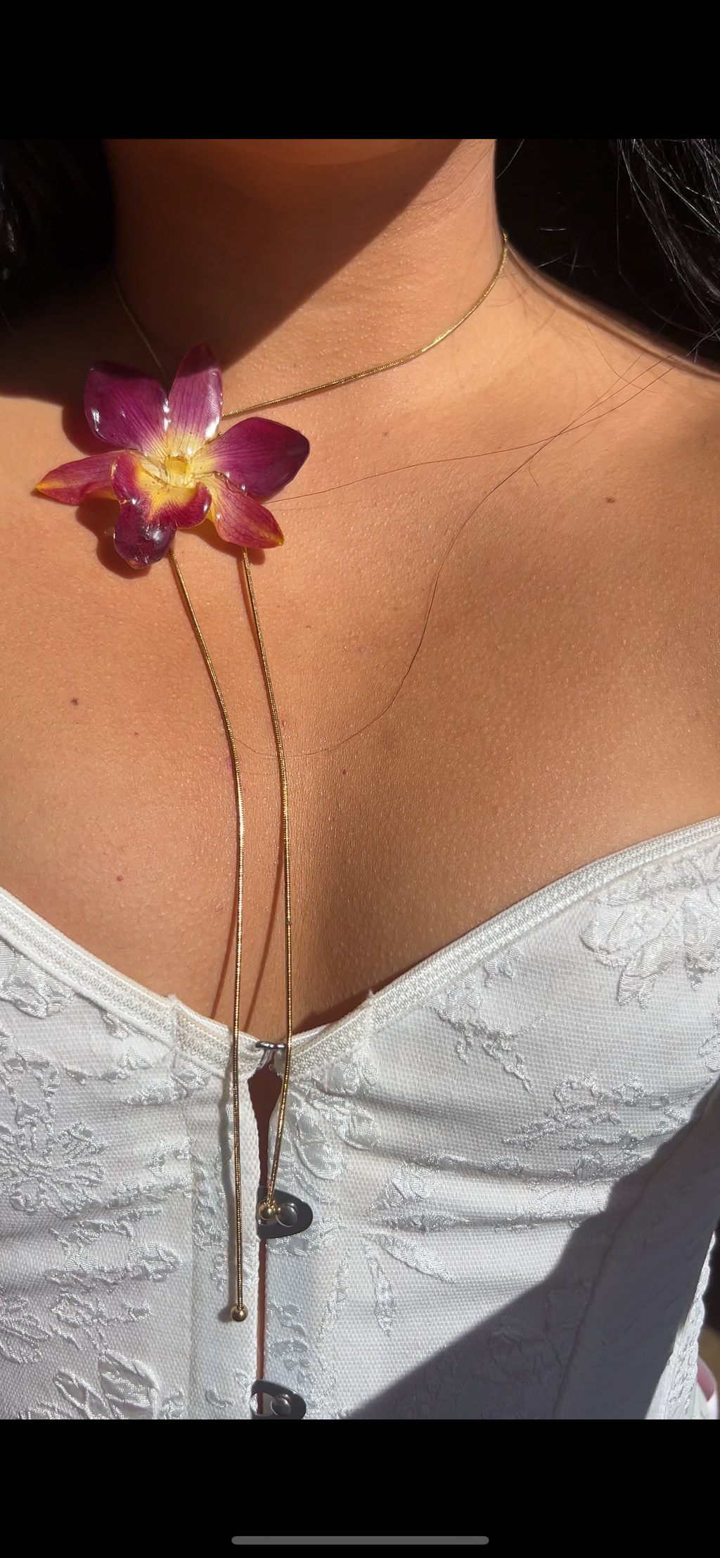 Orchid bello atardecer