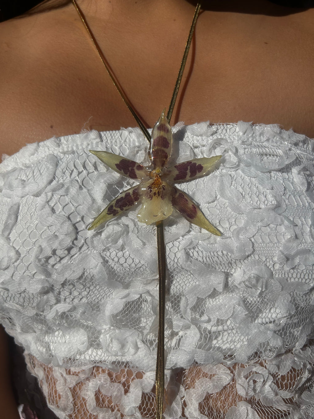 Orchid star