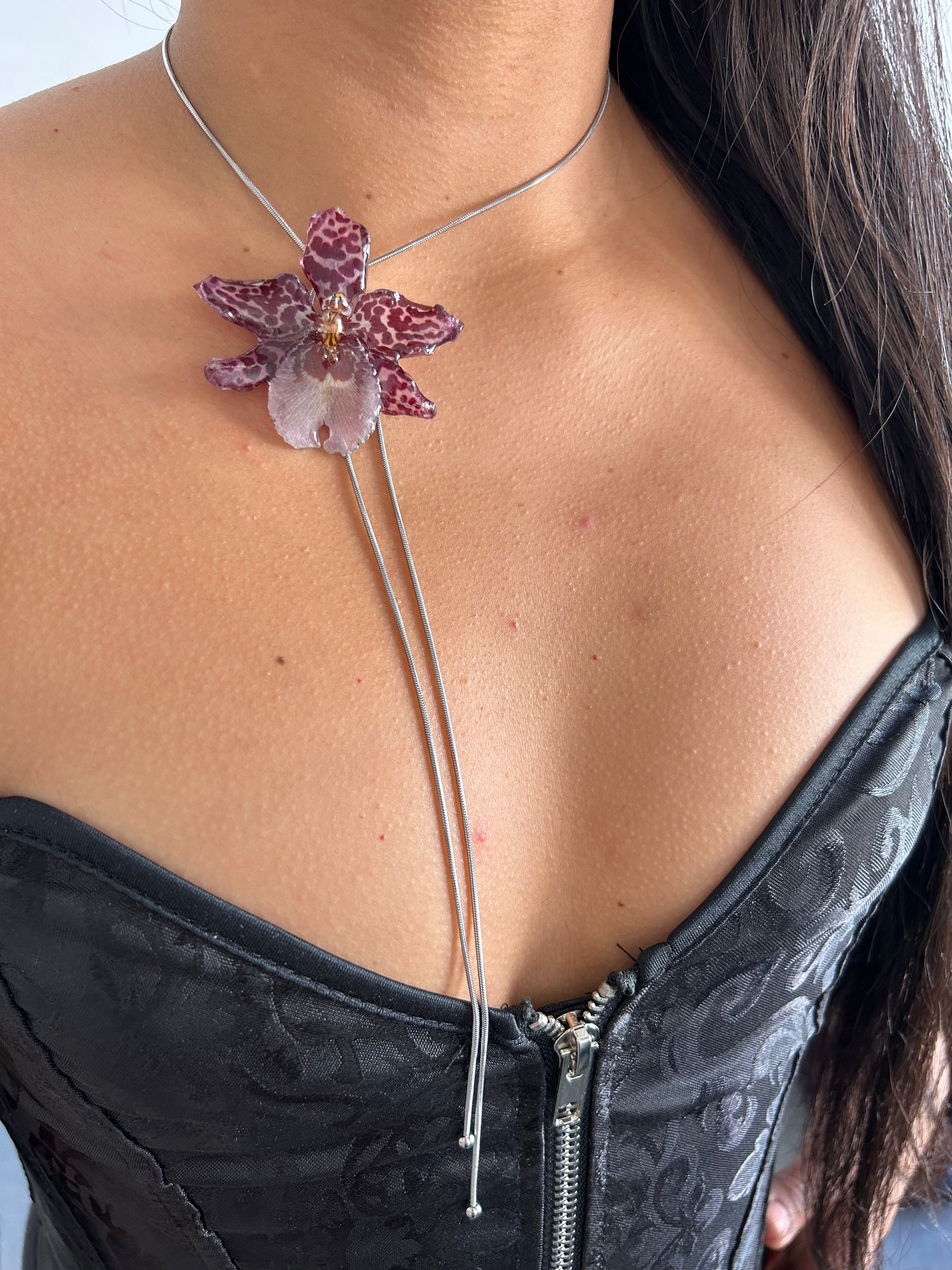 Exotic Orchid