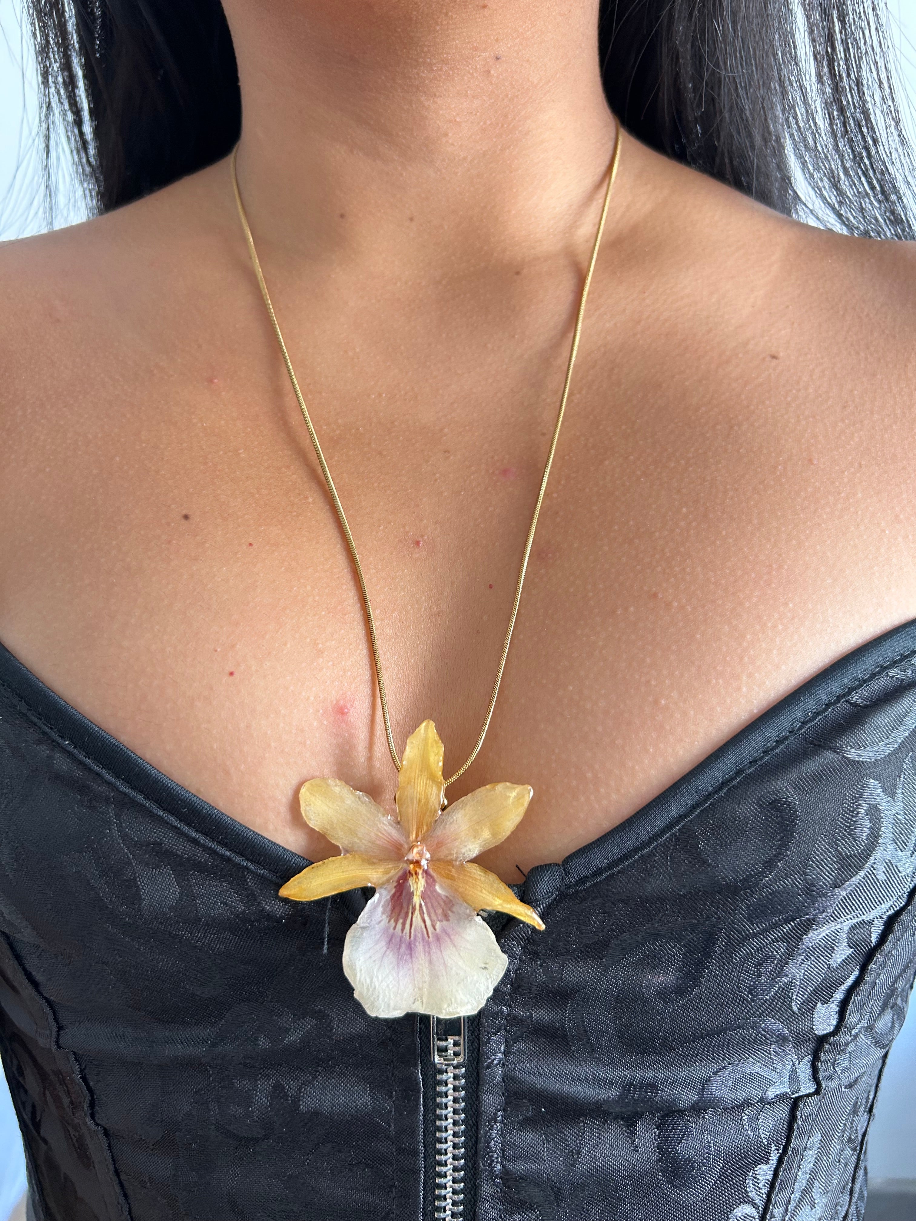 Exotic orchid yellow