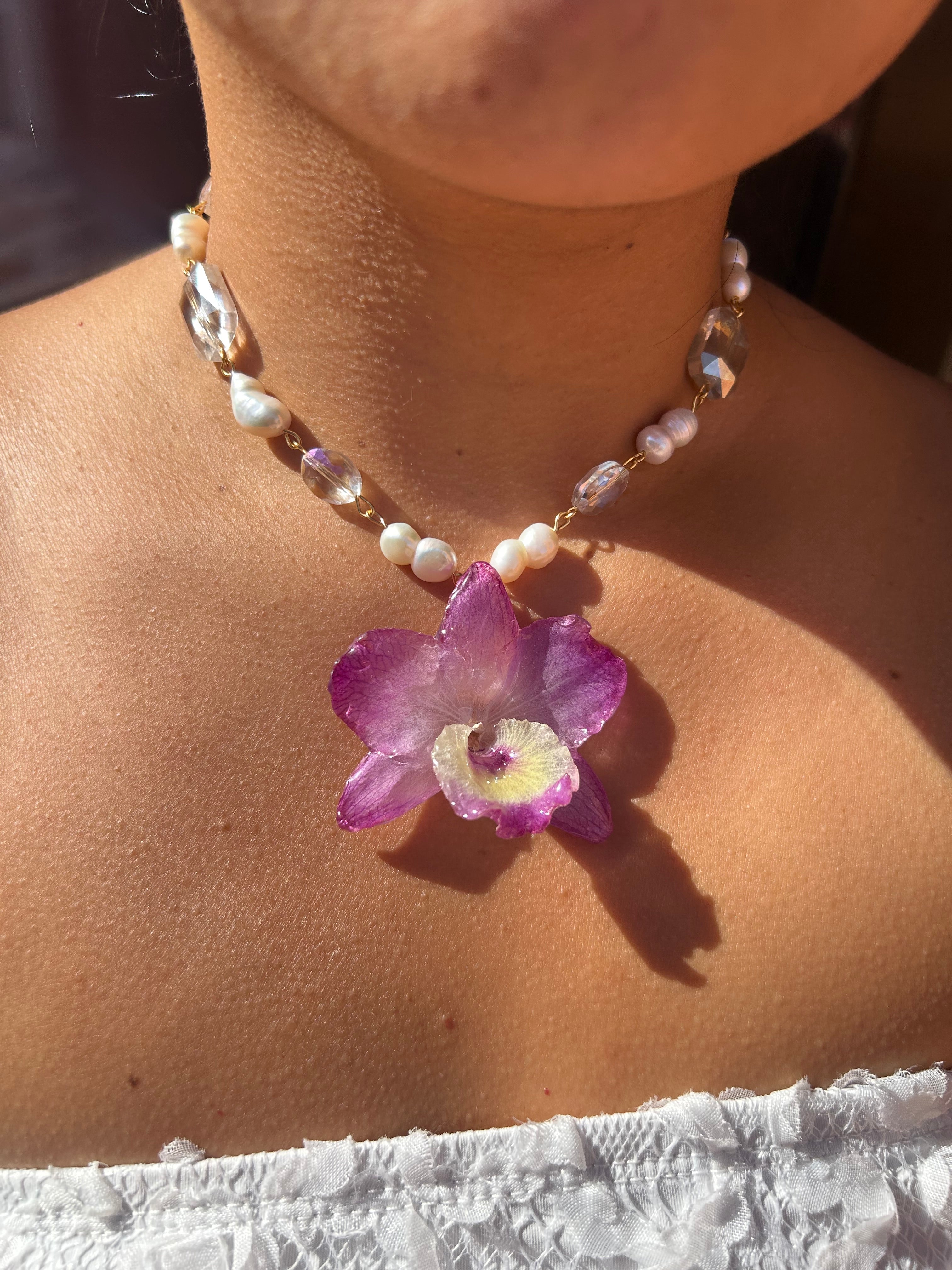 Orchid dendrobium nobile with pearls