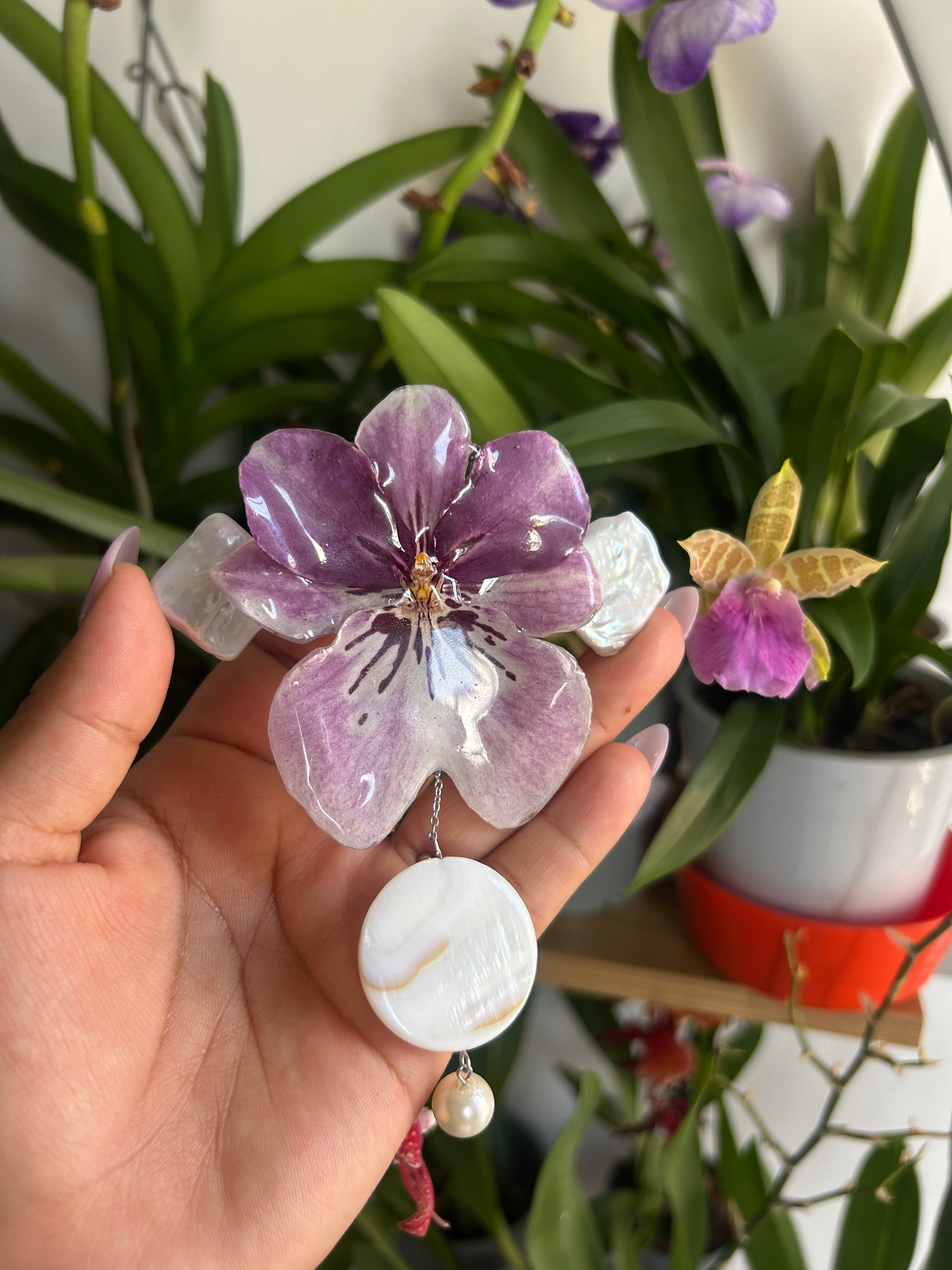 Flores para tu pelo Miltonia