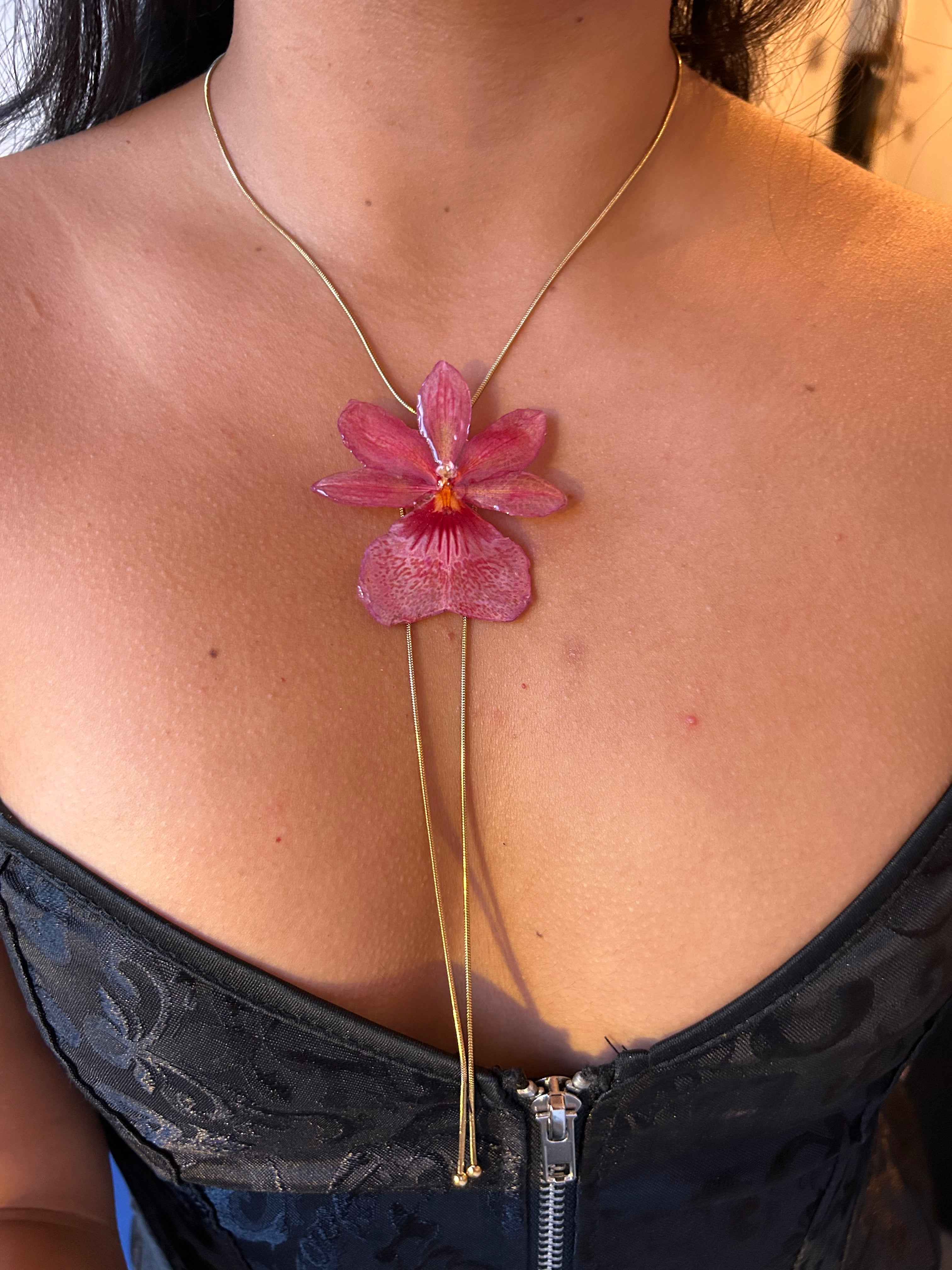 Orchid Nelly isler Orange