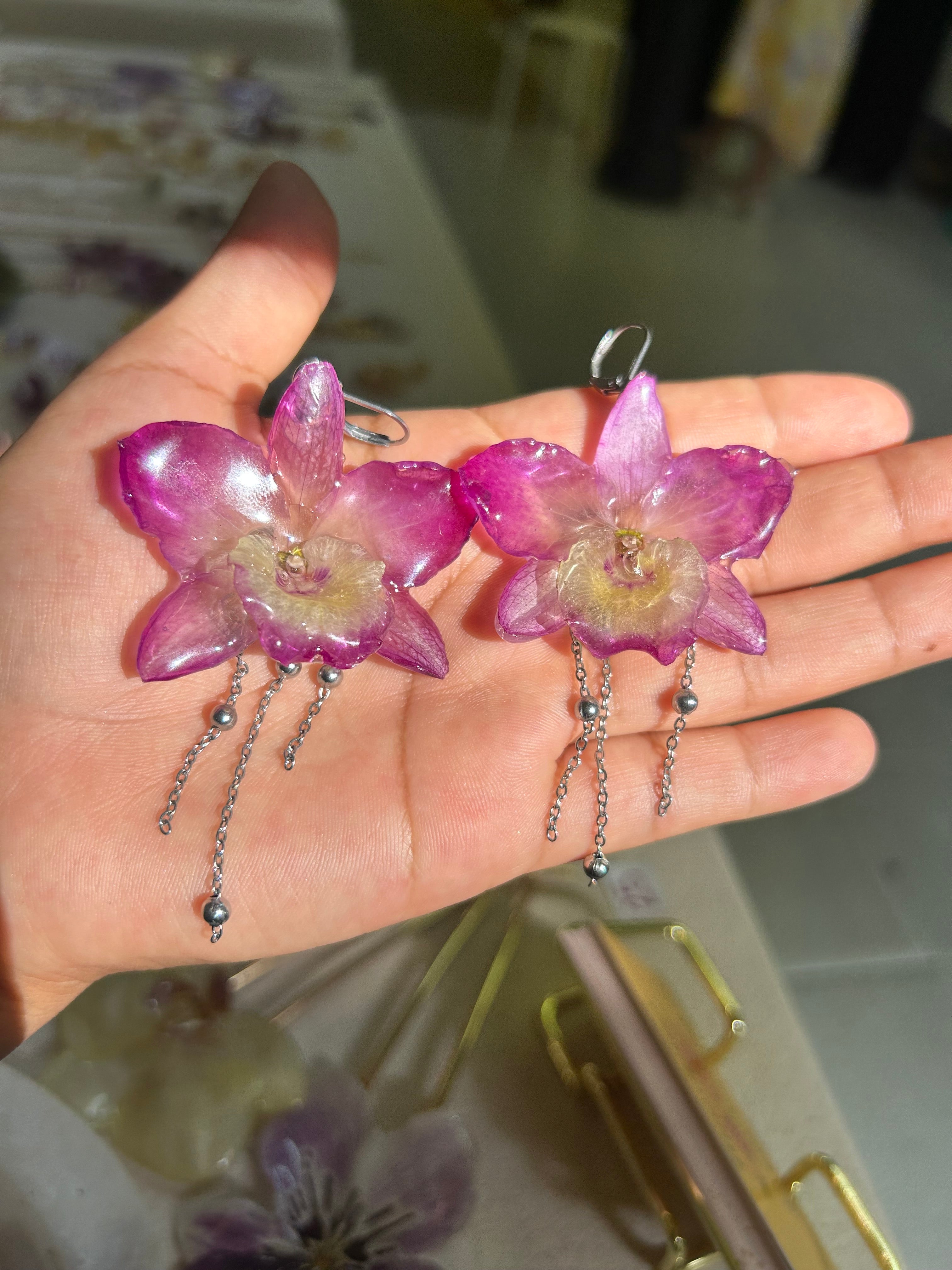Orchid dendrobium
