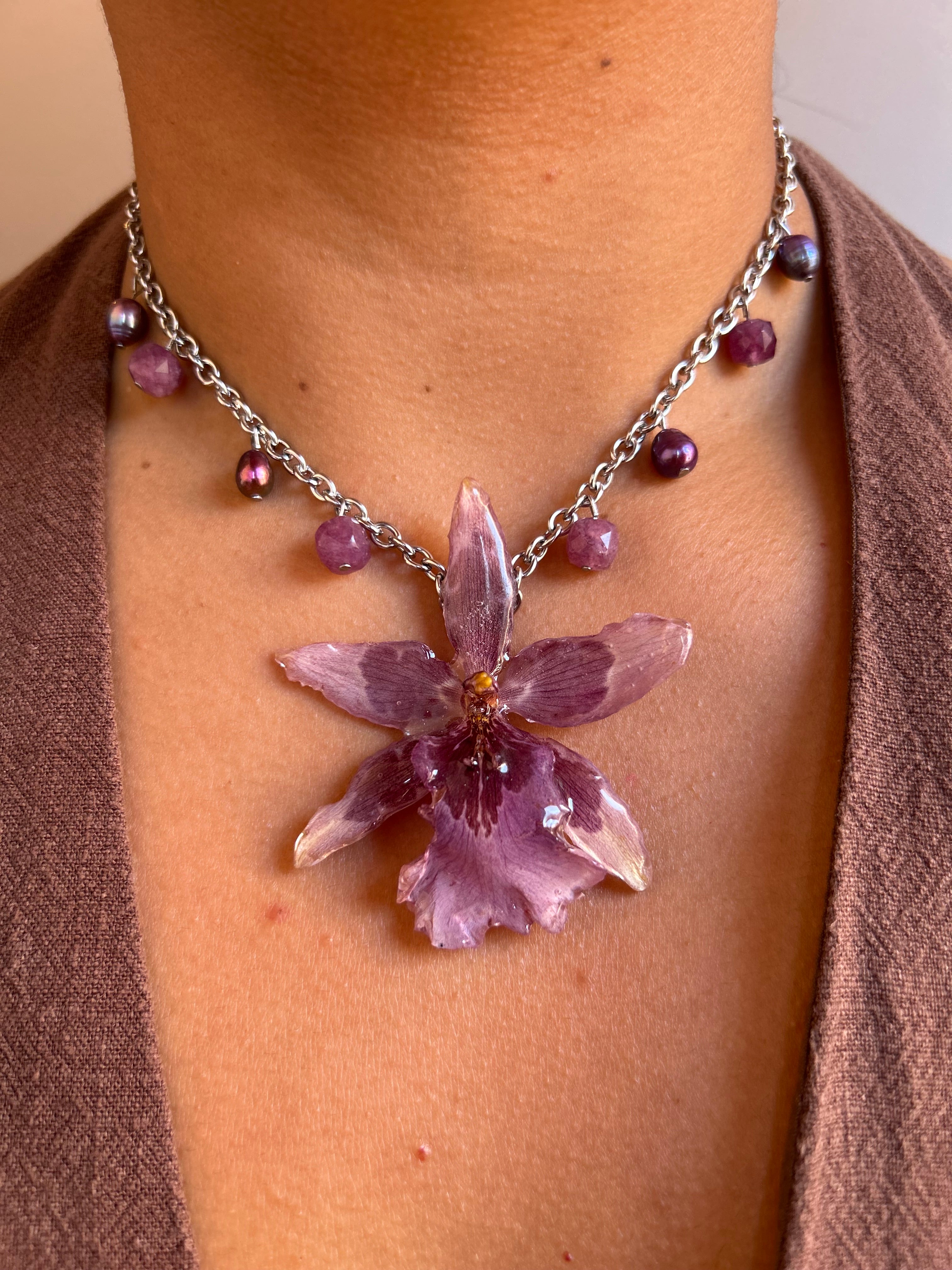 Orchid exotic star