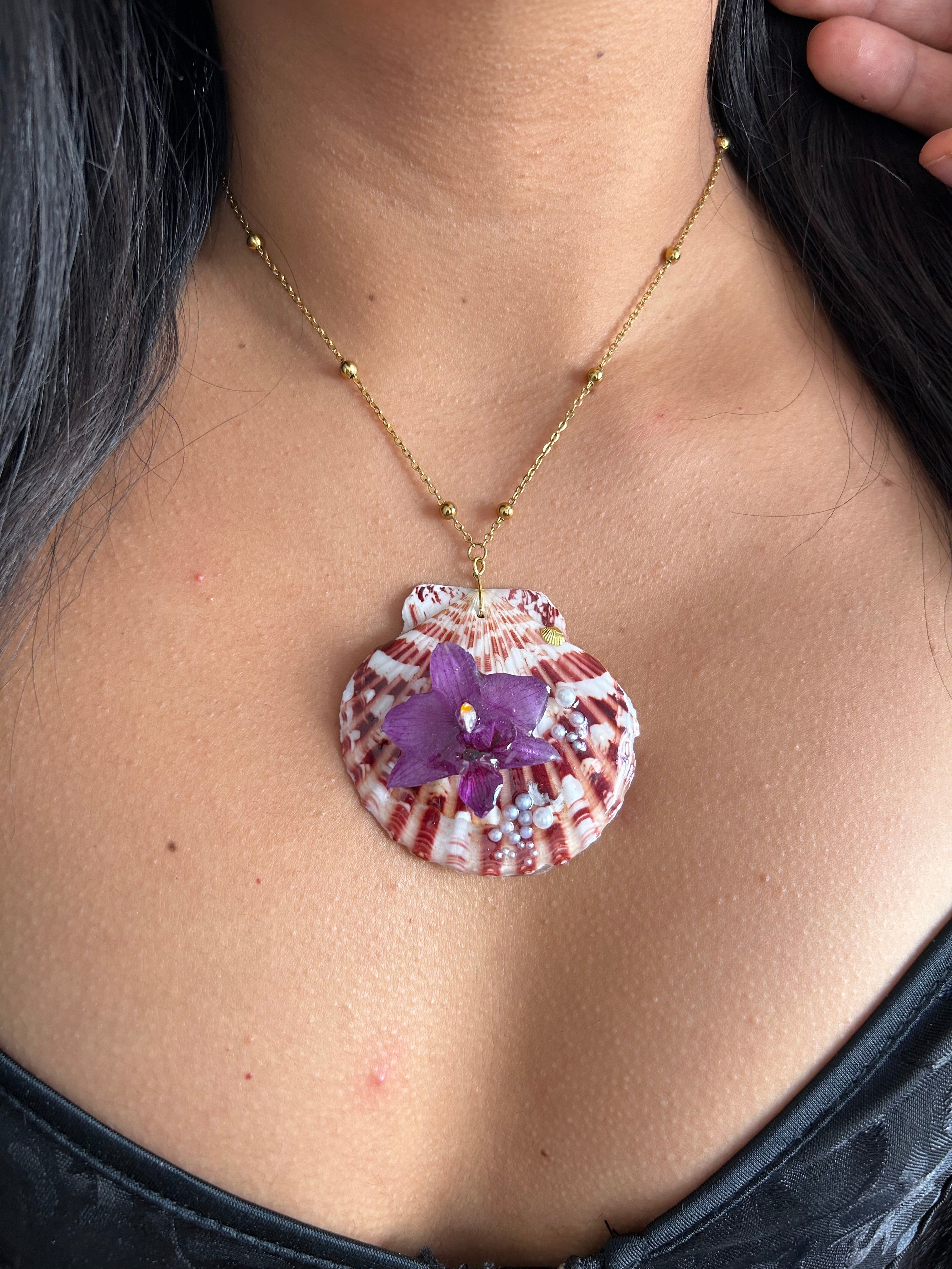 Orchid mini and shell