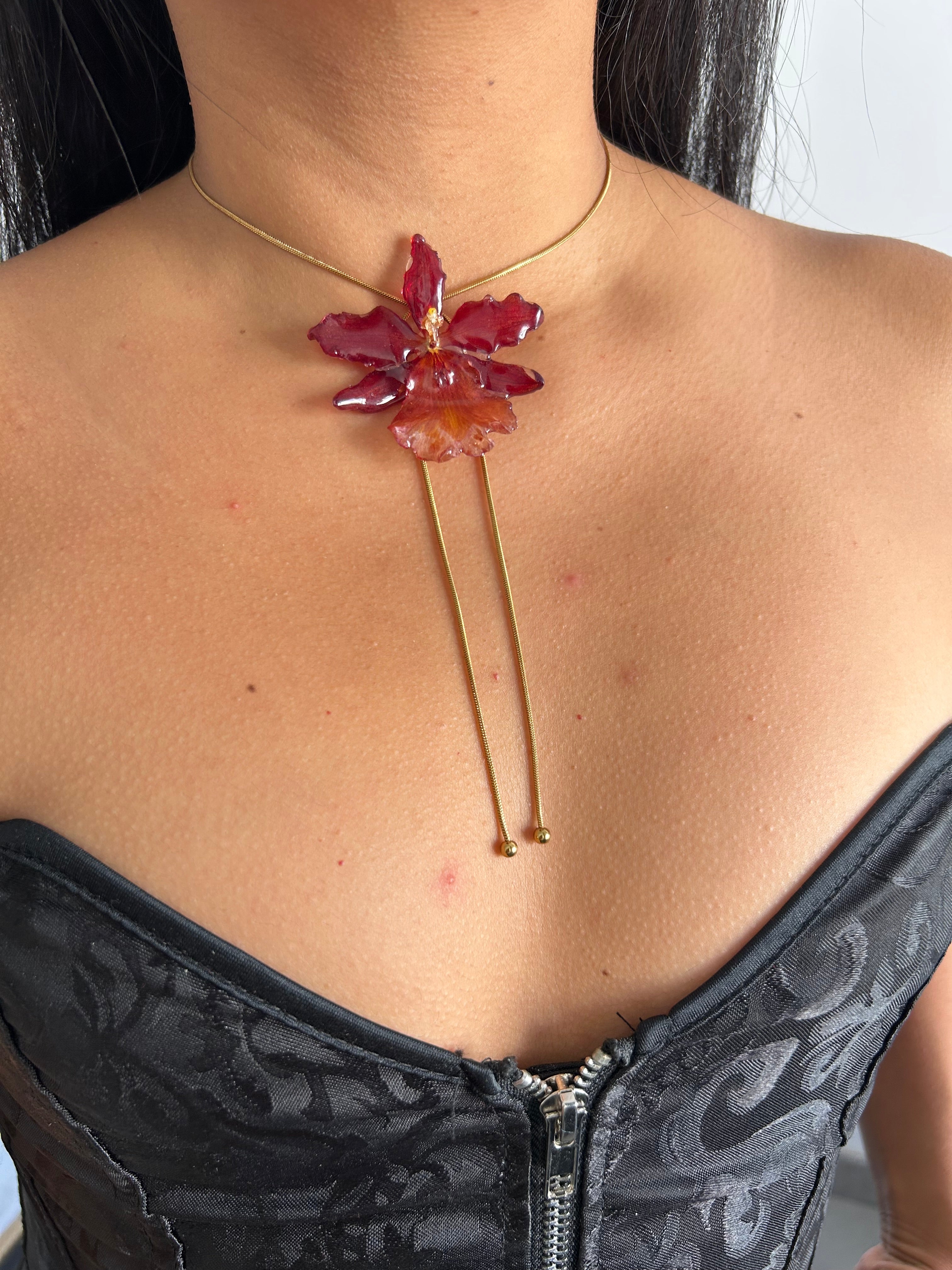 Exotic Orchid