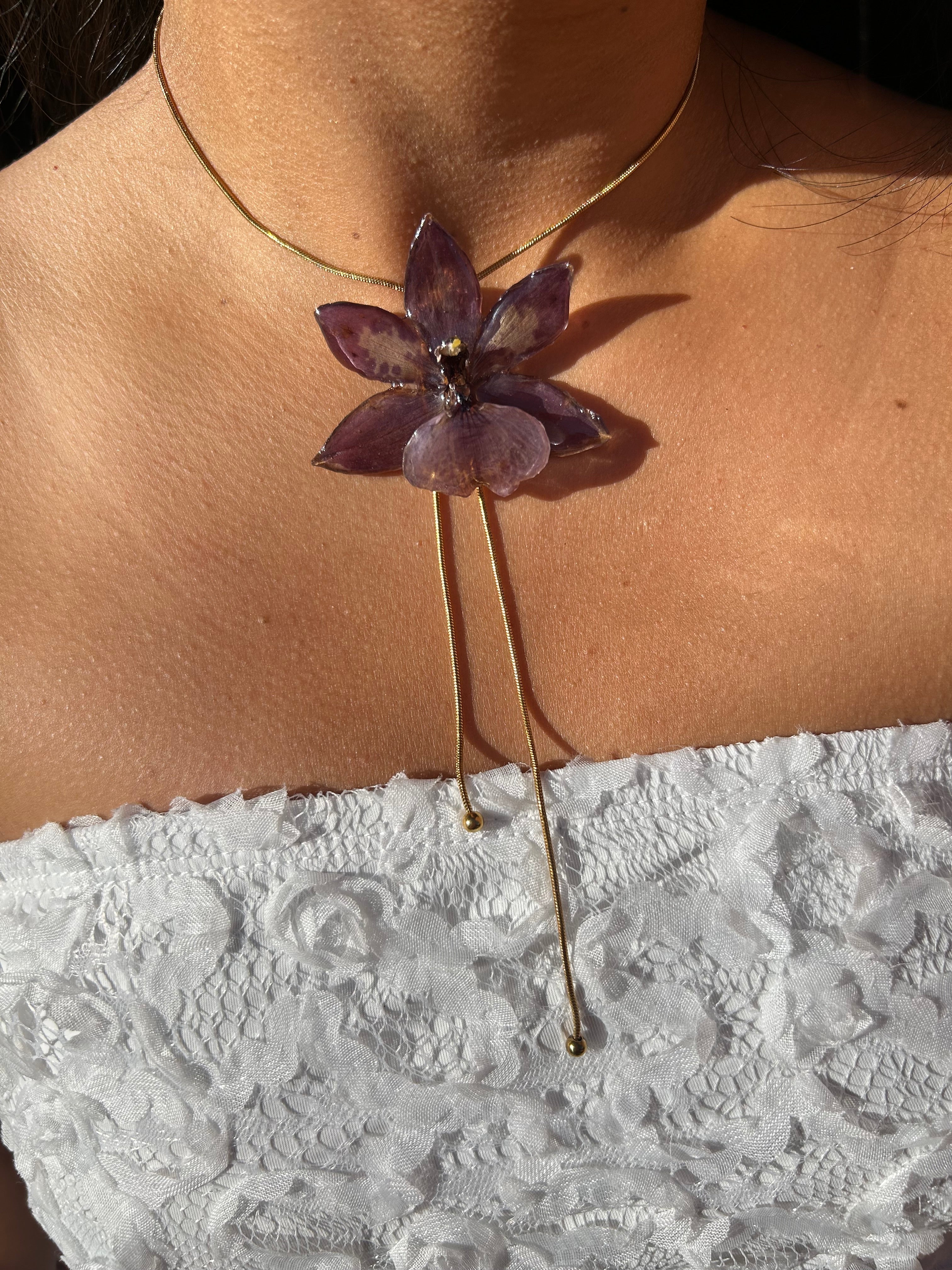 Orchid zygopetalum