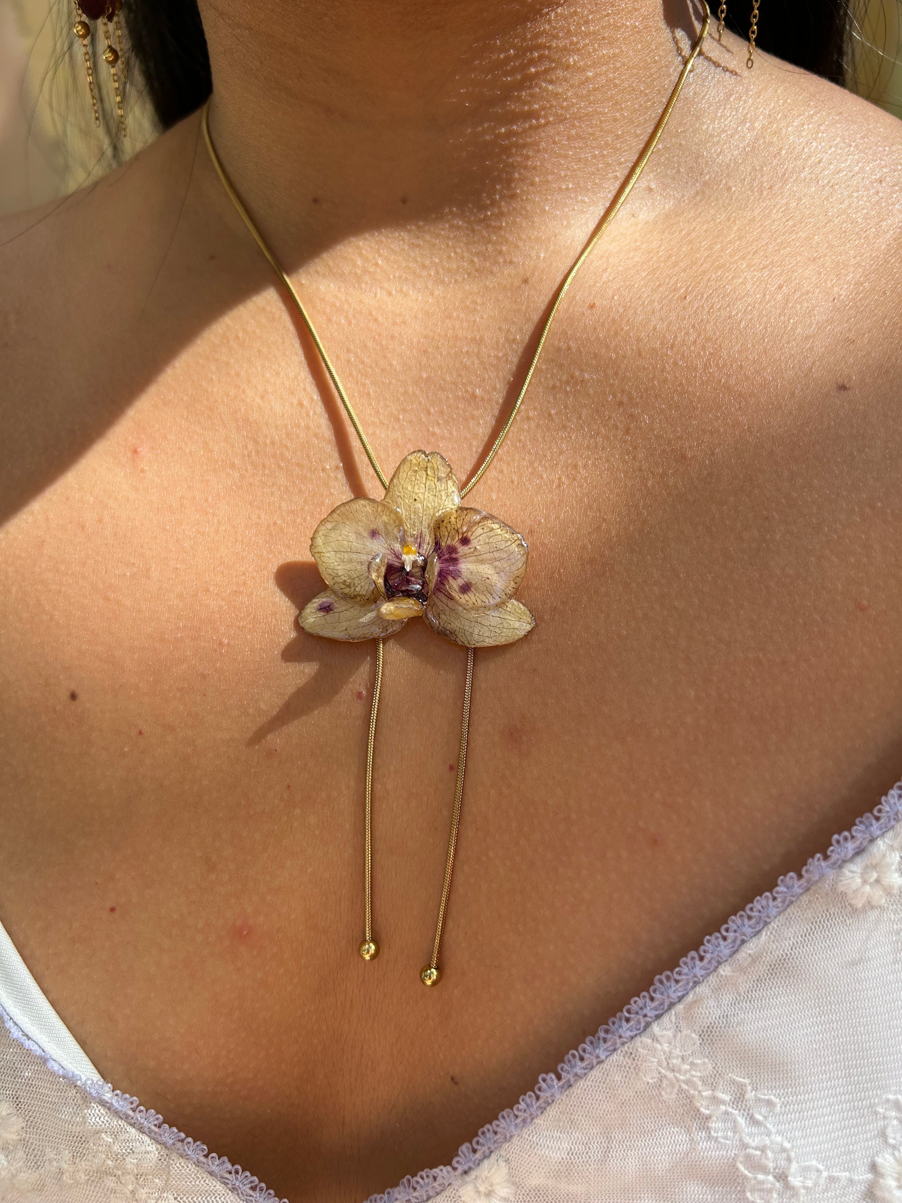 Orchid mini yellow