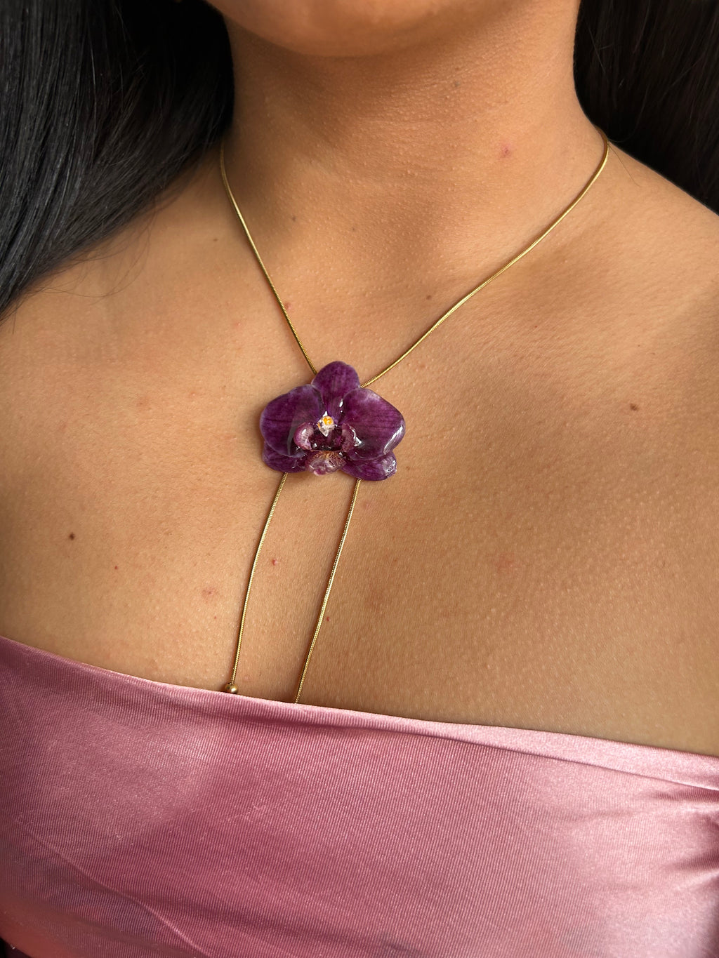 Orchid mini phalaenopsis purple