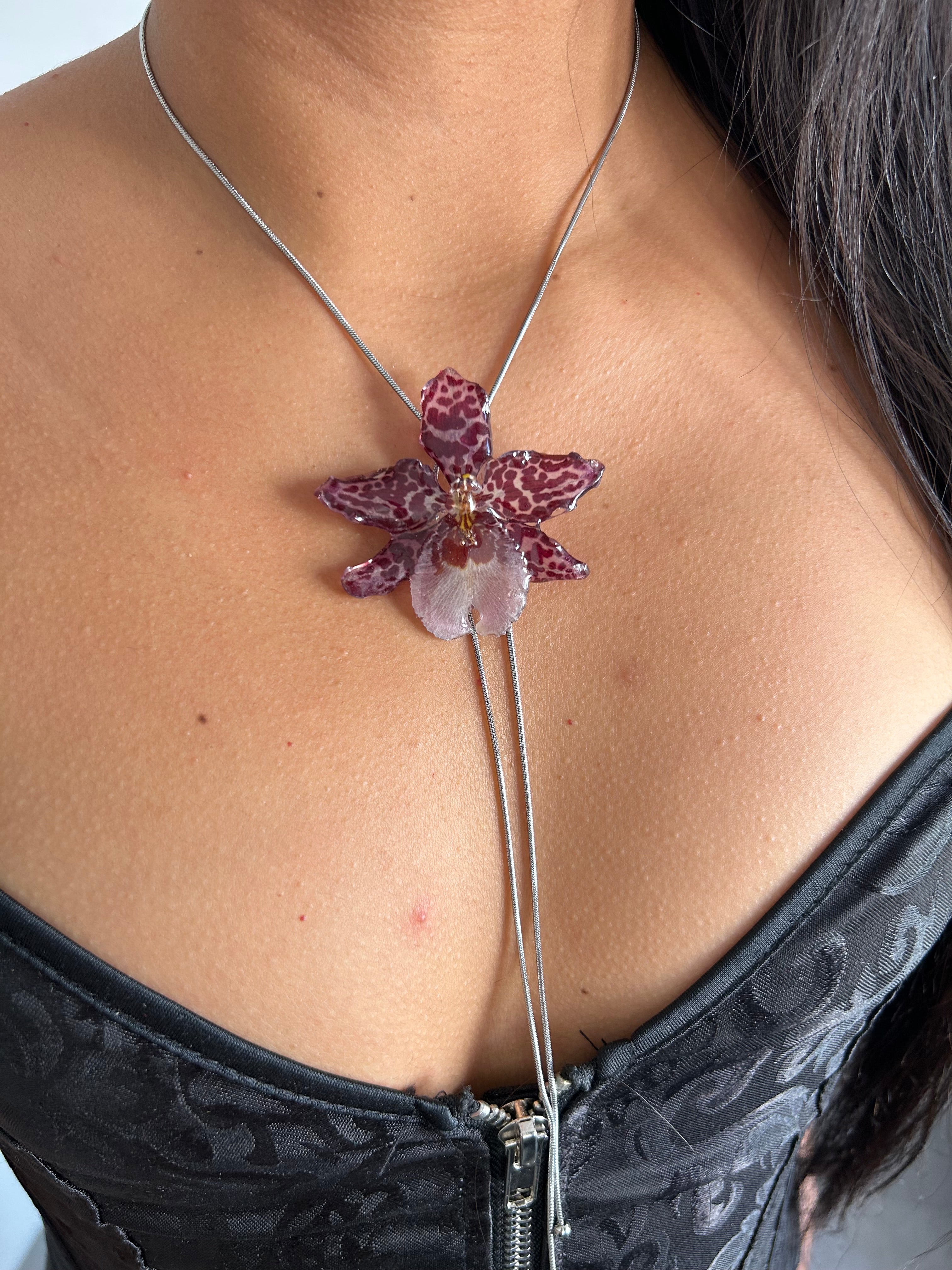 Exotic Orchid