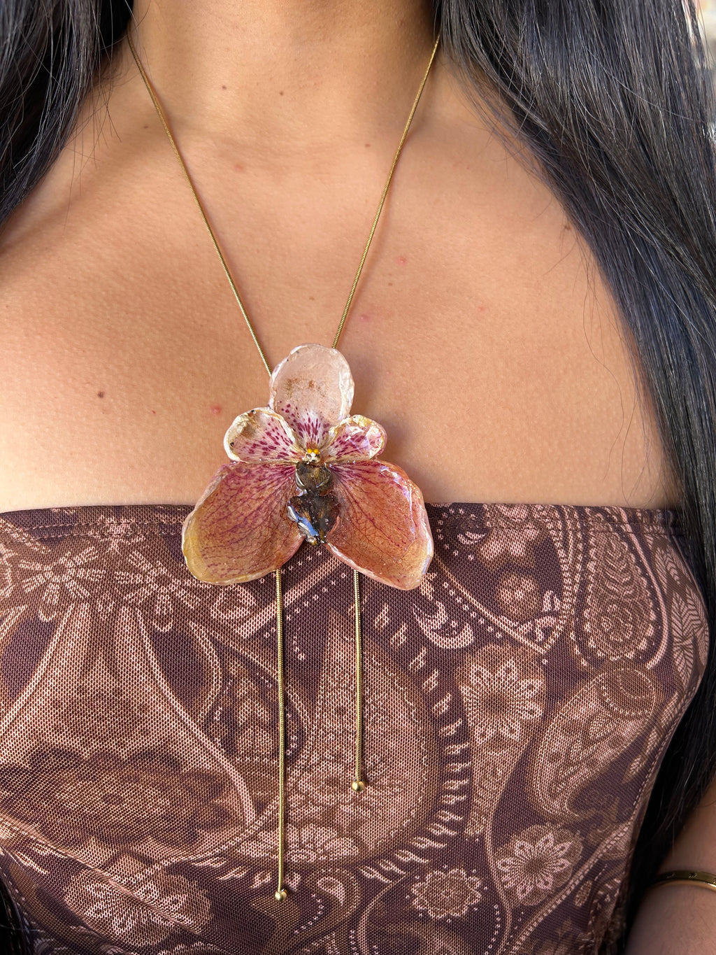 Orchid Vanda de colección