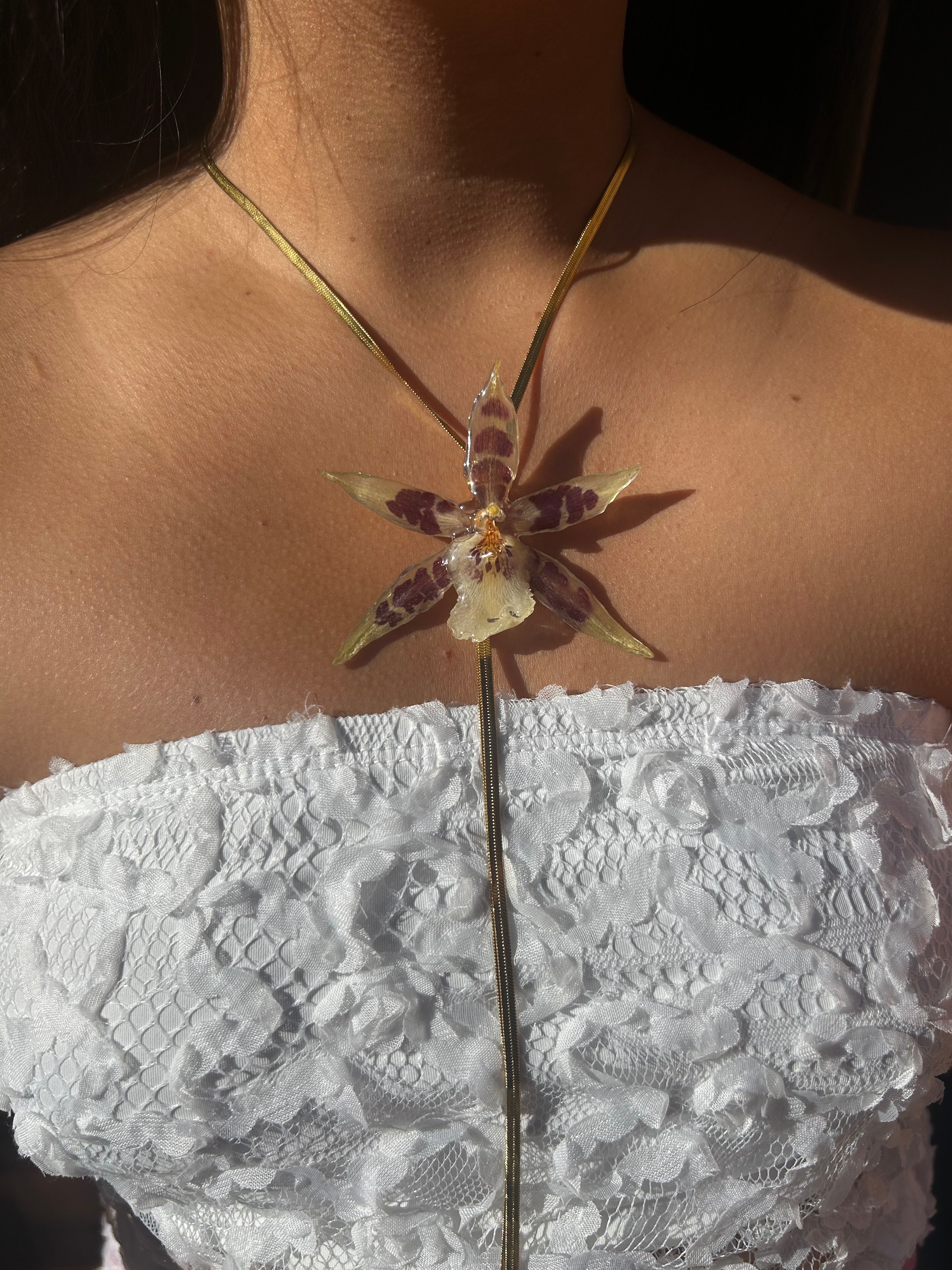 Orchid star