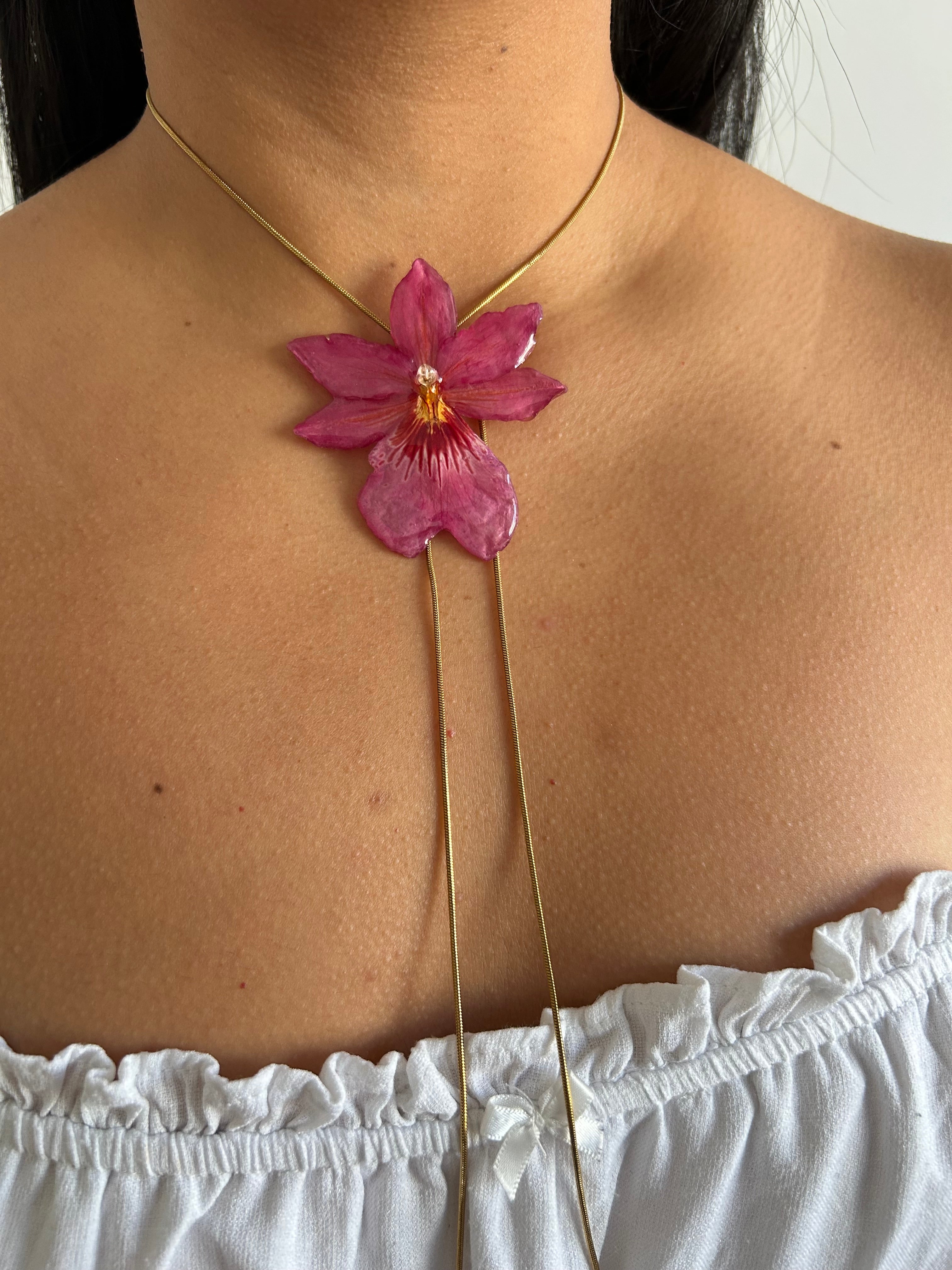 Orchid Nelly isler fucsia