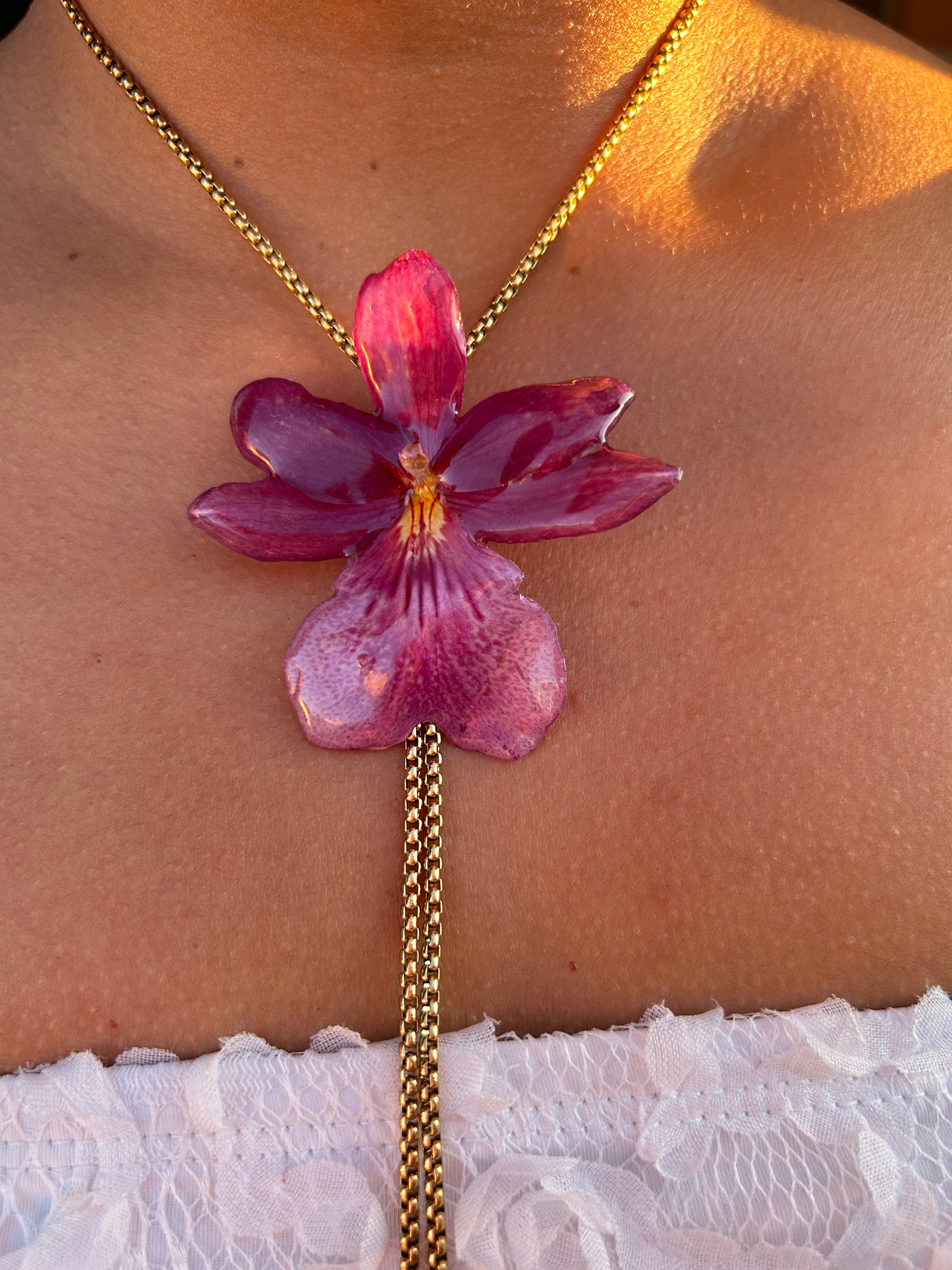 Orchid Nelly isler fucsia